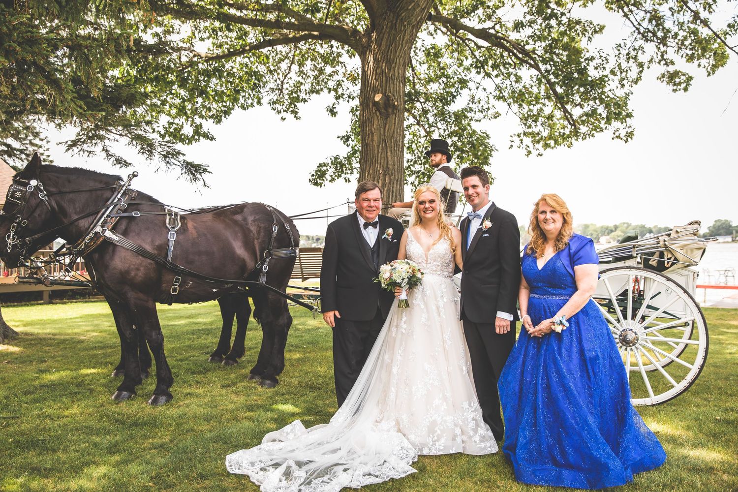 Wedding party poses with majestic black horse and white carriage under tree.