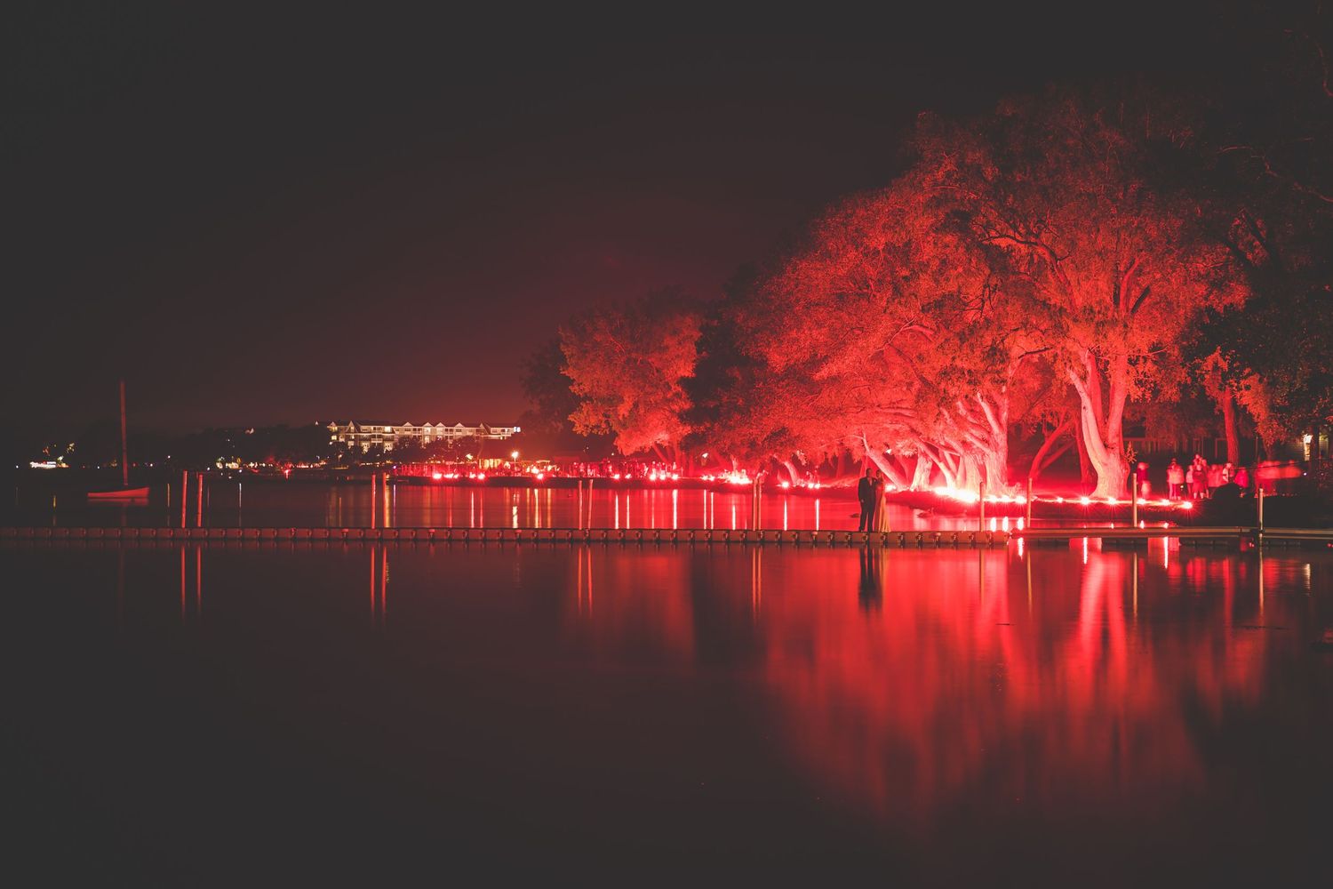 Dramatic red lighting illuminates trees and water at night creating a romantic atmosphere.