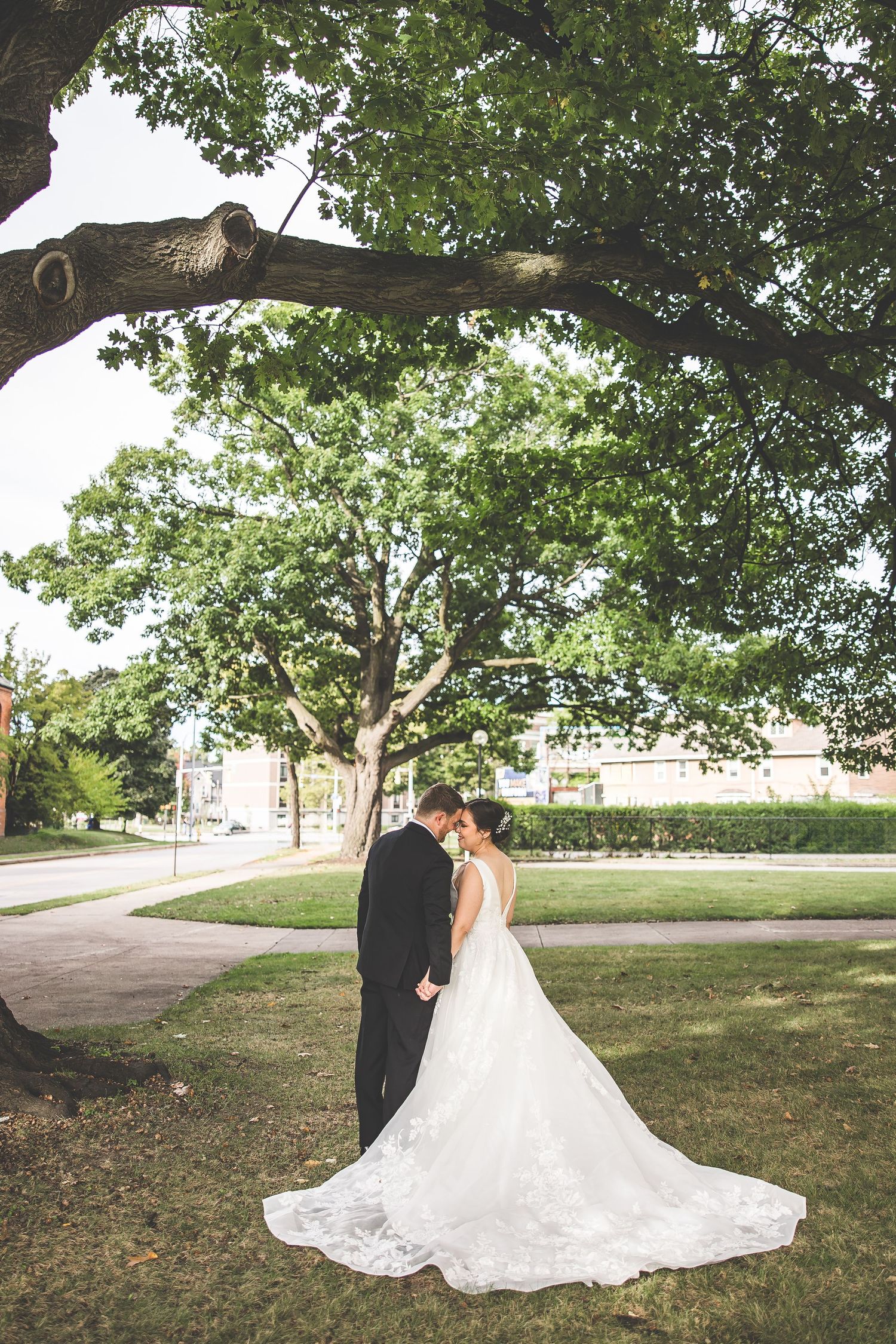 Wedding couple poses under sprawling tree branches for romantic outdoor portraits.