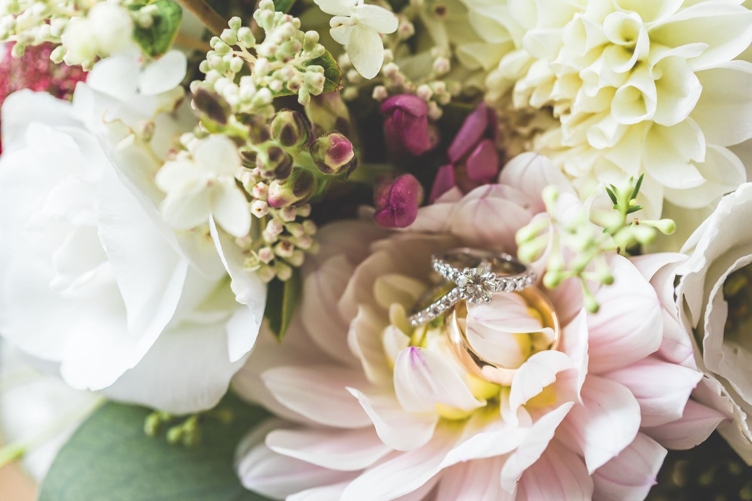 Wedding rings nestled in delicate pink and white flowers with soft focus detail.