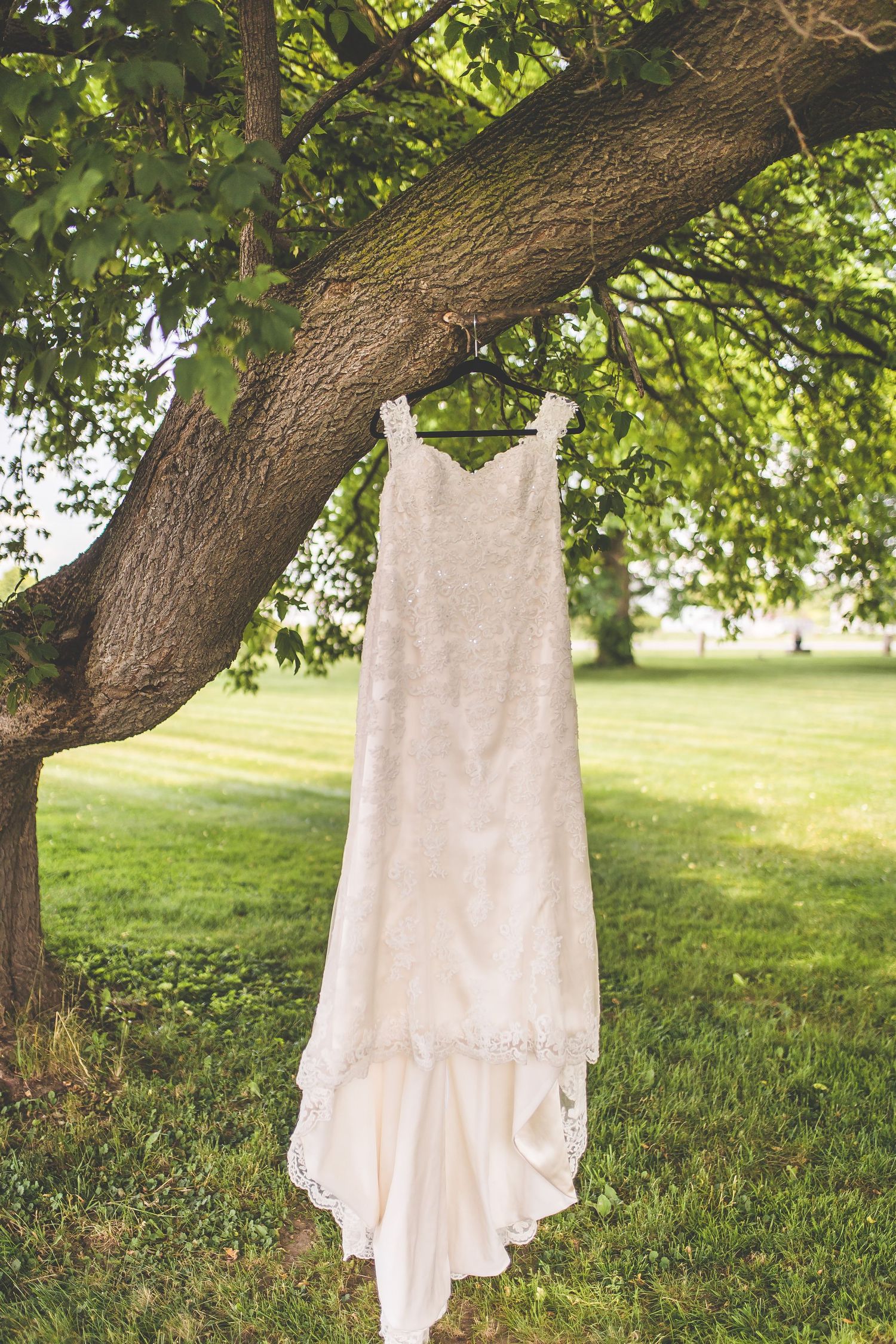 White wedding dress hangs elegantly from tree branch in natural outdoor setting.