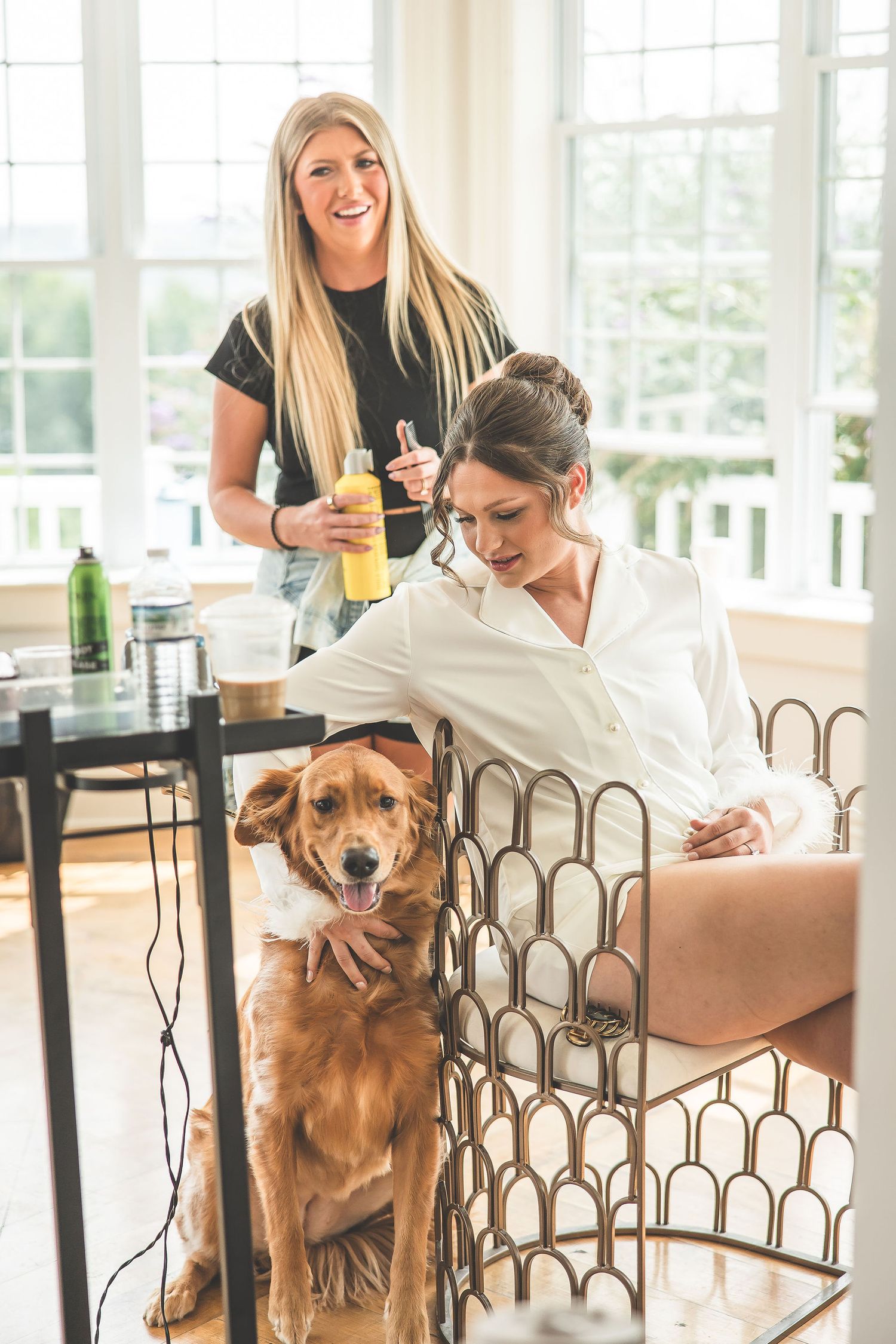 A friendly golden retriever joins the wedding preparation festivities in a sunlit room.