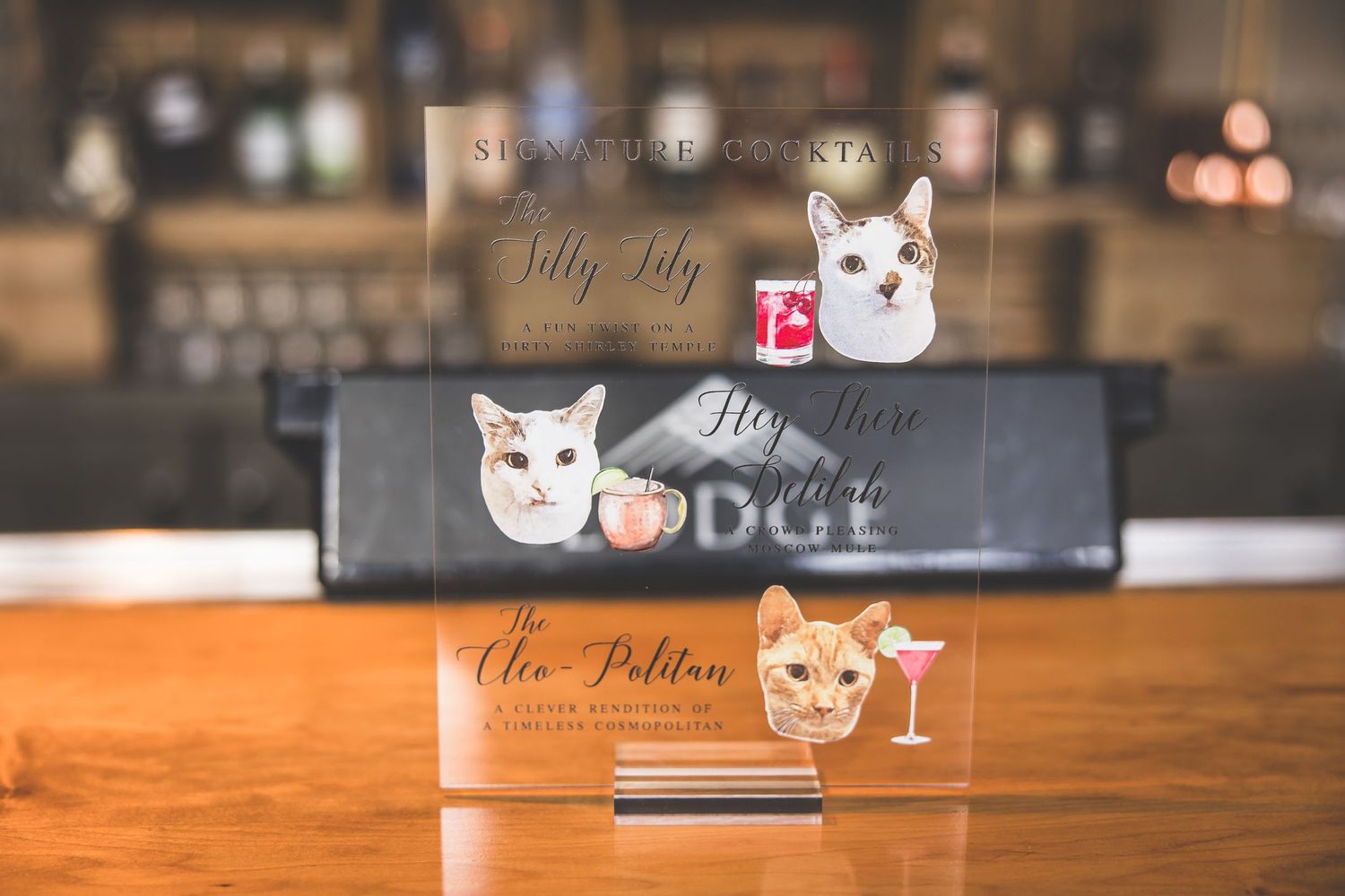 Wedding stationery featuring playful cat designs displayed on wooden surface.
