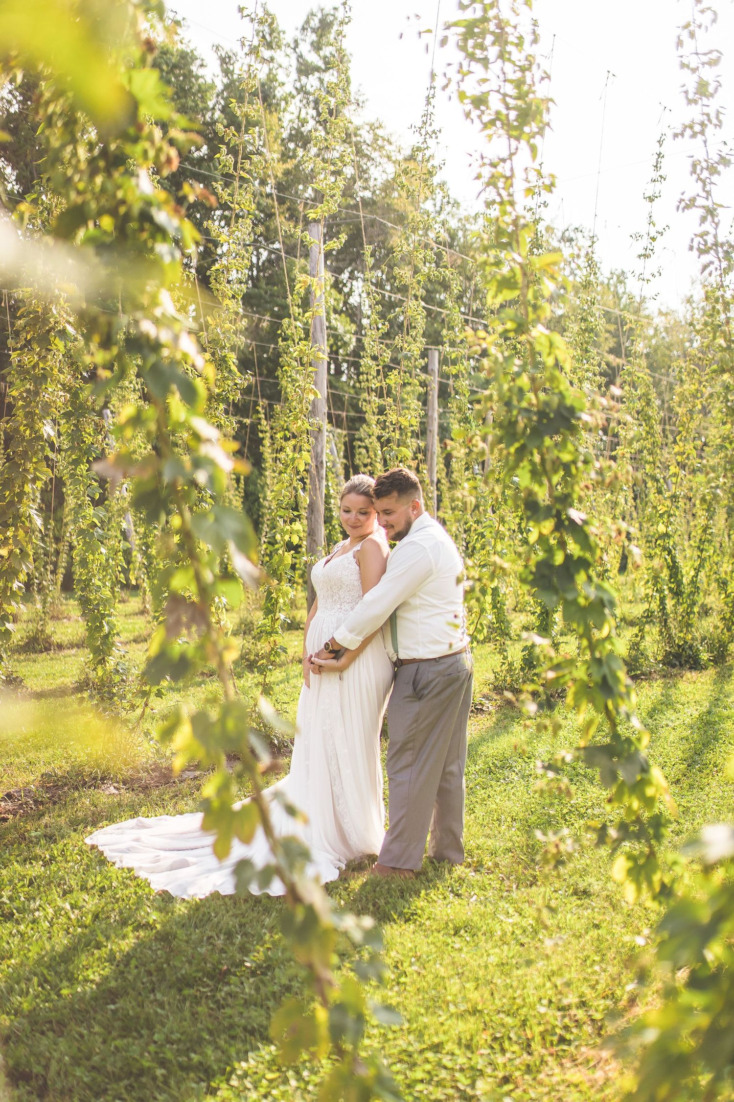 Wedding portraits captured in a lush hop field with beautiful golden sunlight filtering through.
