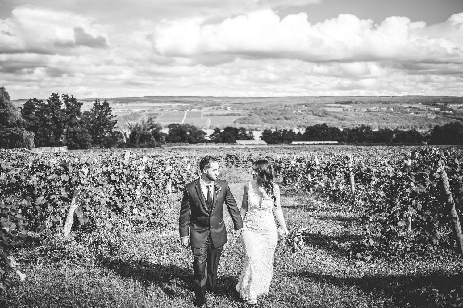 Black and white panorama of newlyweds walking through vineyard rows.