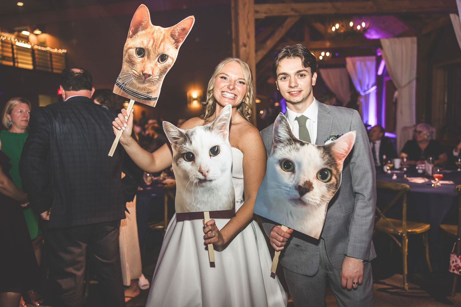 Wedding guests posing with cats during a unique reception photo opportunity.