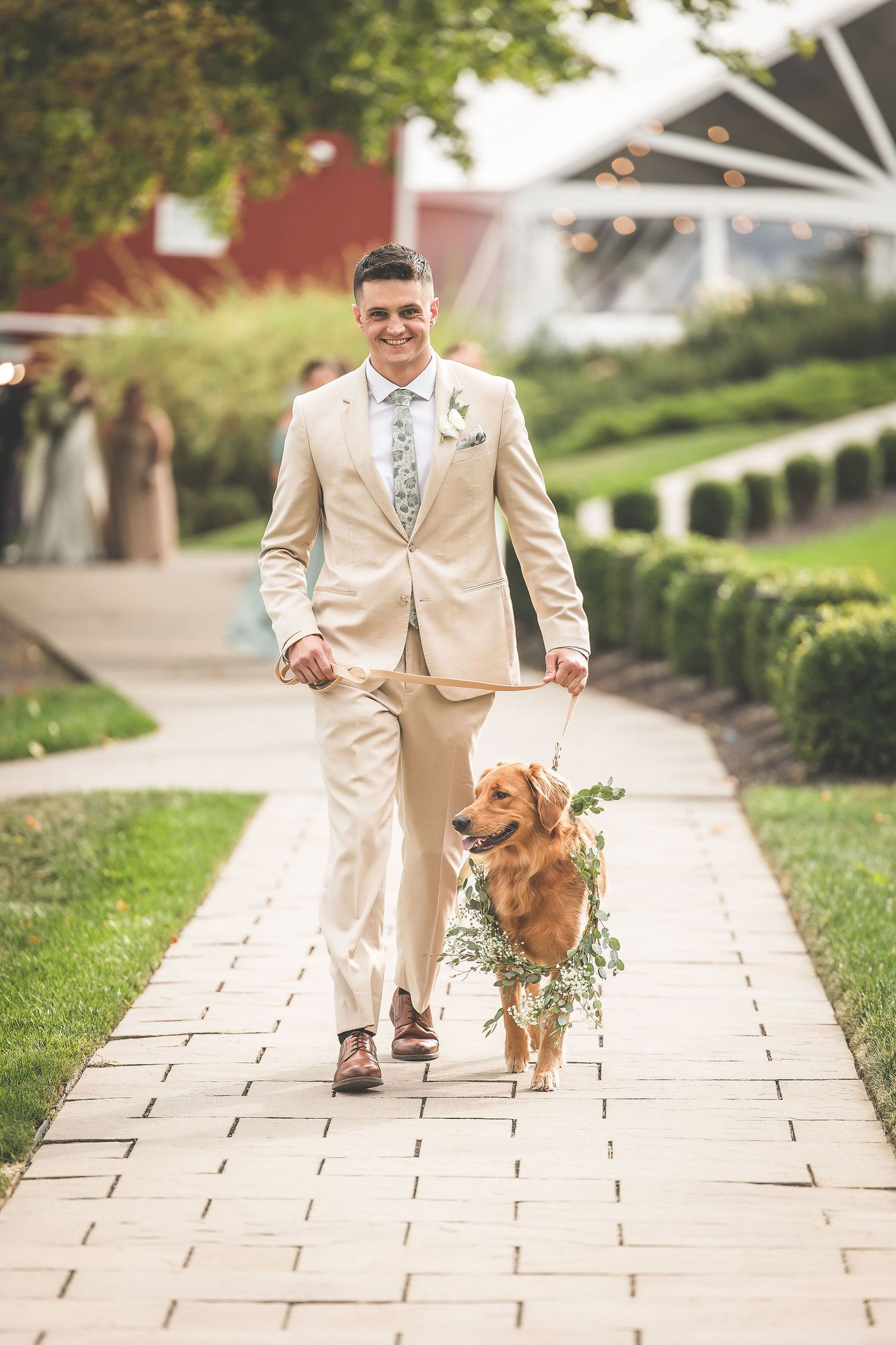 Golden retriever dog walks down stone pathway with wedding party member in cream-colored suit.
