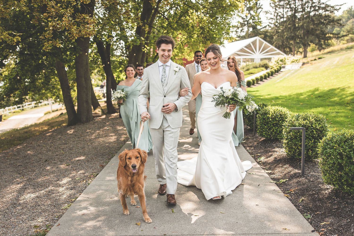 A couple walks down a garden path with their golden retriever on their wedding day.