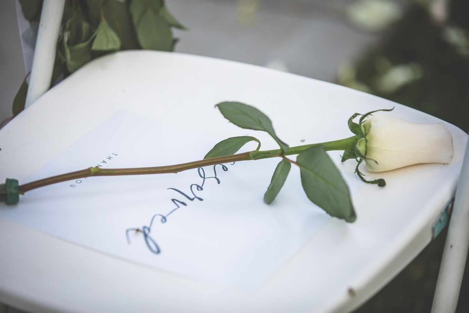 Single white rose laying on paper with handwritten text.
