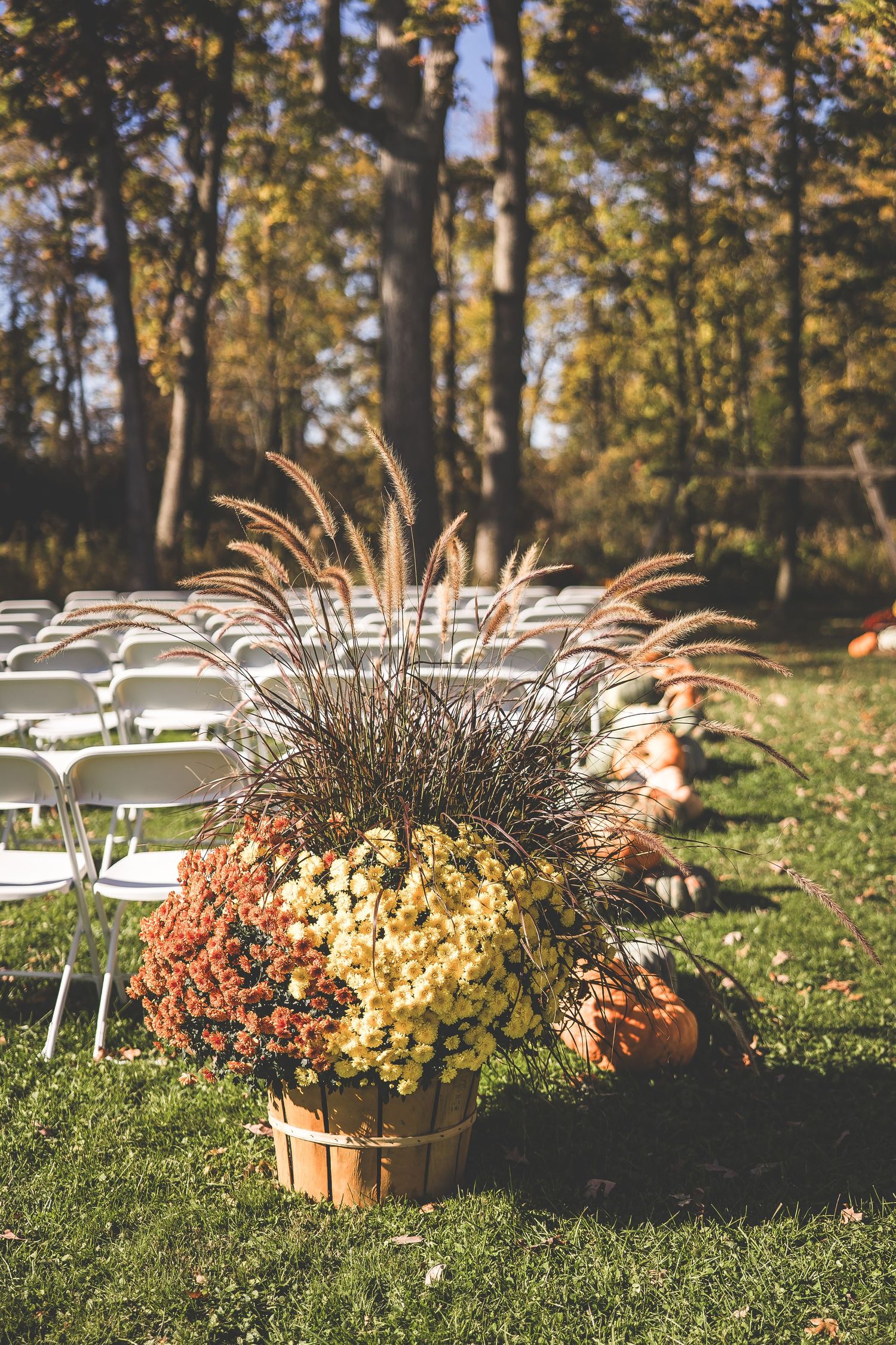 Autumn wedding decor featuring ornamental grasses and flowers in harvest colors with white chairs.