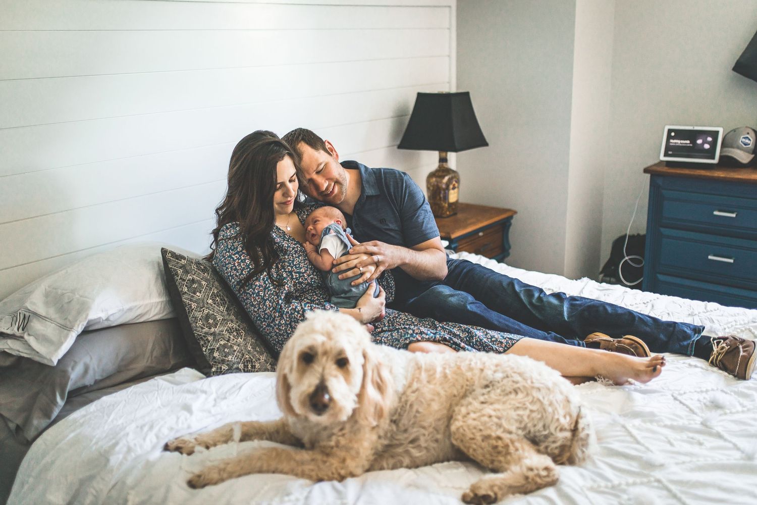 Lifestyle photos on bed with adorable goldendoodle dog joining the couple.