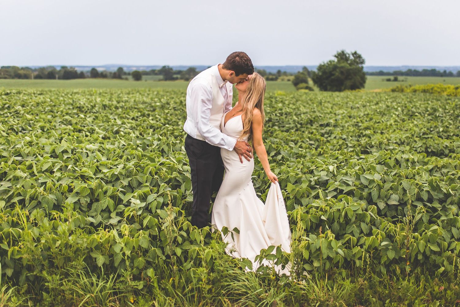 Wedding couple embracing in a vast sunflower field during summer.
