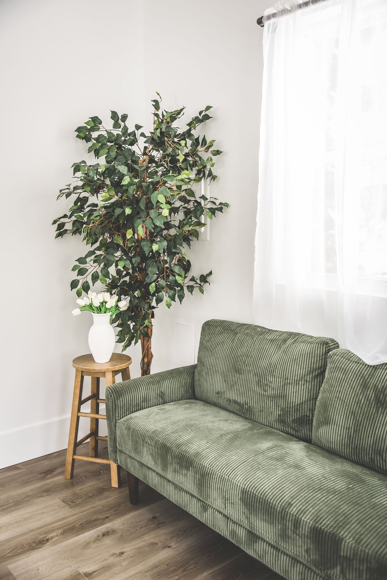 A series of six photos showing a green corduroy couch and artificial ficus tree in a minimalist white room with wood floors.