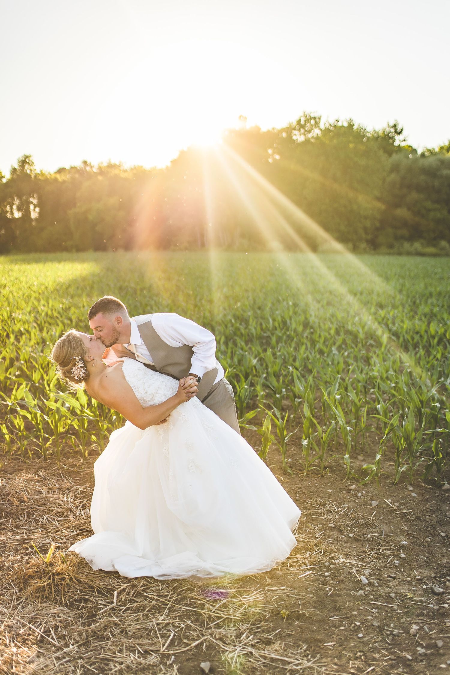 Romantic sunset wedding photos in a cornfield with dramatic golden hour lighting.