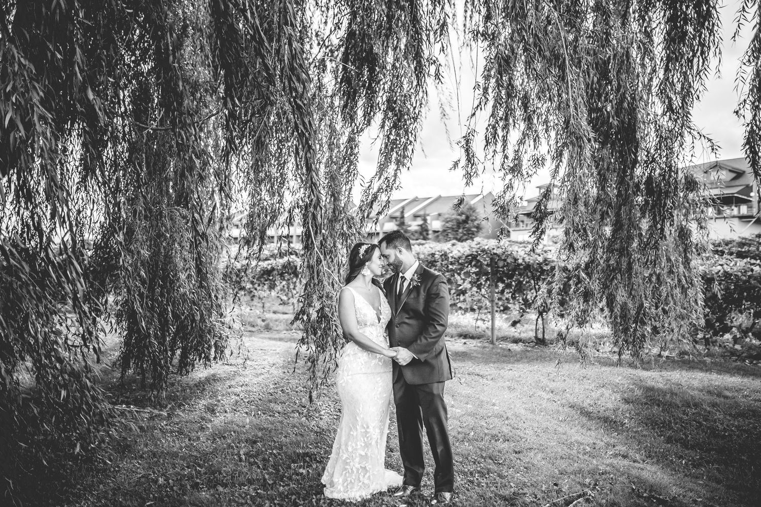 Black and white photo of a couple standing beneath drooping willow branches.