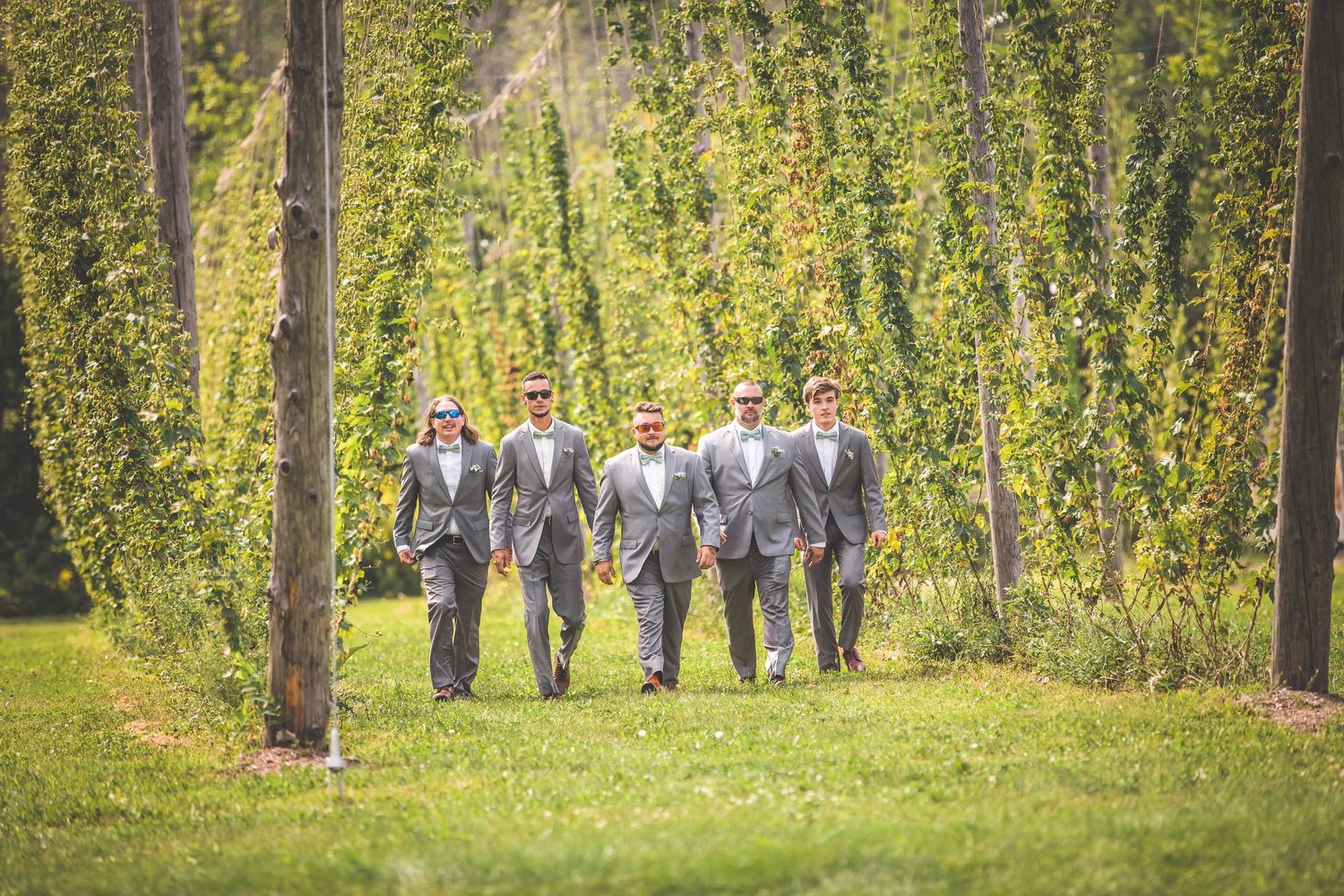 Wedding party poses among tall hop vines in an outdoor setting.