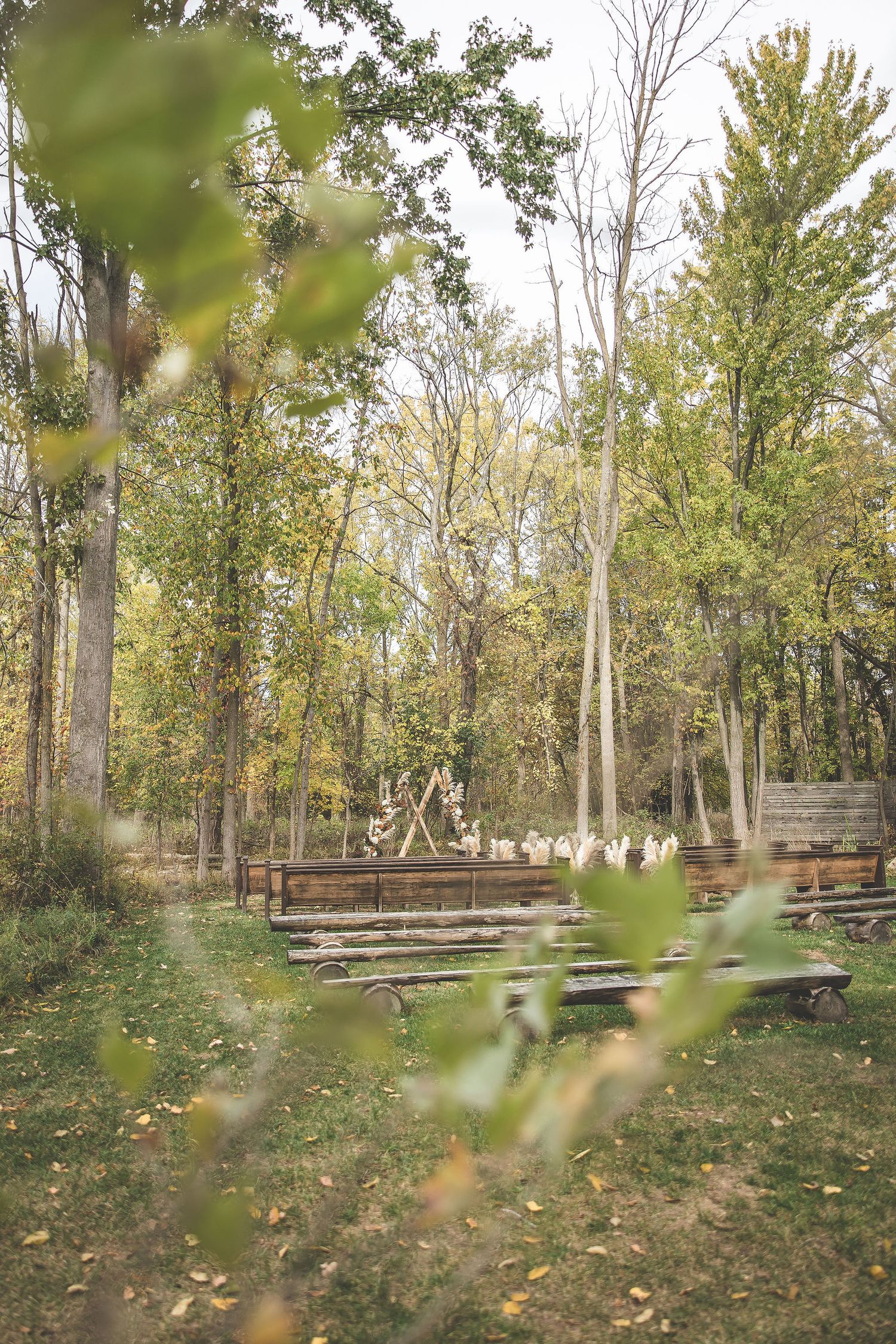 Wooded outdoor venue area with natural lighting filtering through trees in autumn.