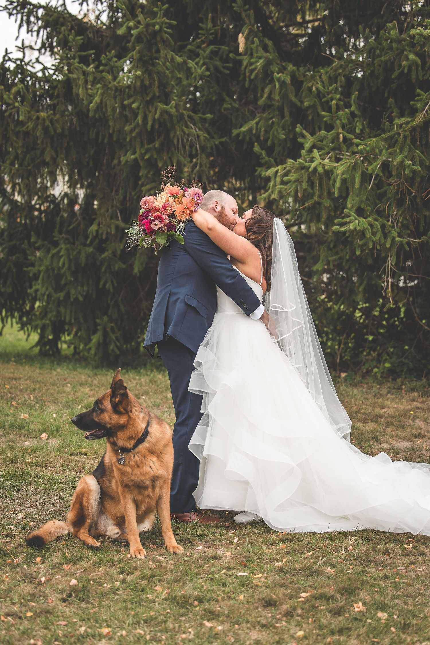 A newlywed couple shares their first kiss while their German Shepherd sits faithfully nearby.