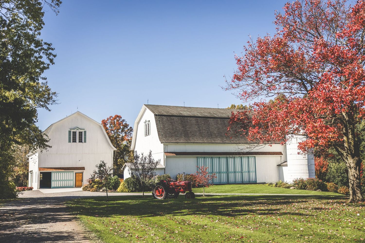 White farm buildings and barns with red autumn trees against a blue sky on a rural property.
