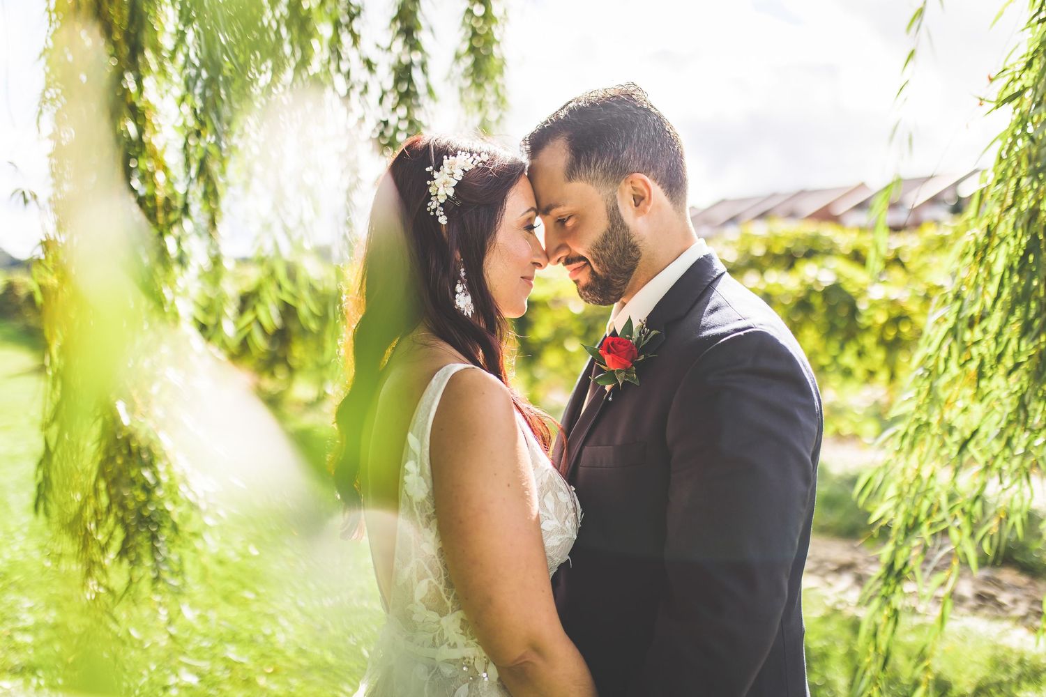 Romantic couple embraces under weeping willow branches in vineyard.