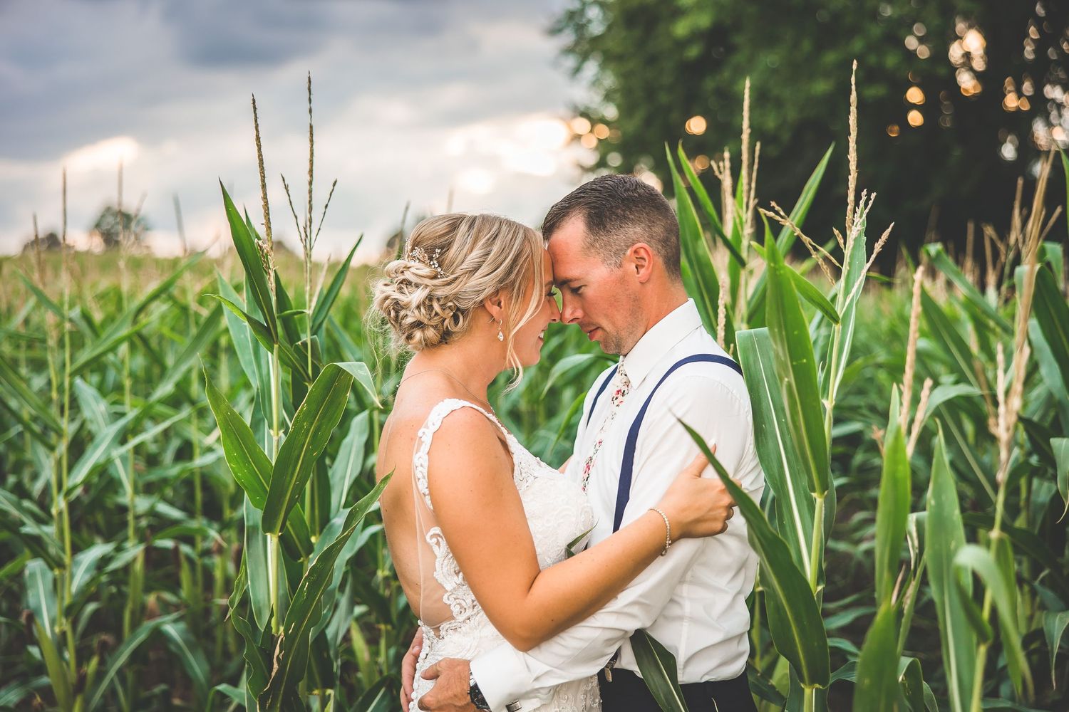 A tender moment between newlyweds standing in a cornfield at sunset.