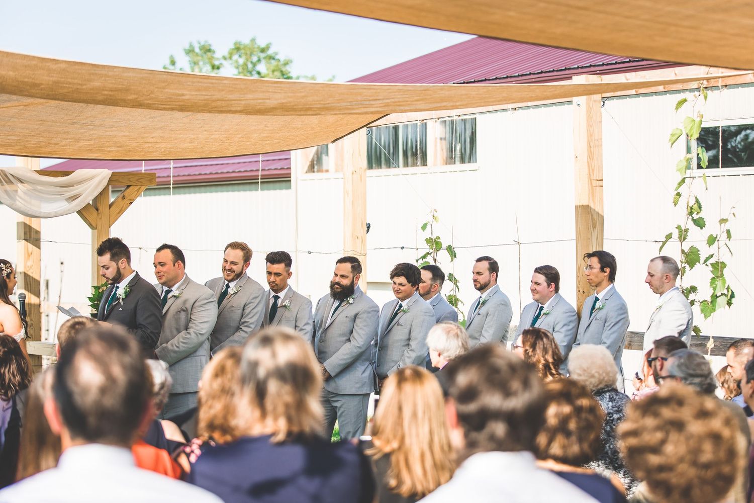 Wedding party in gray suits standing in a line under draped outdoor canopy.