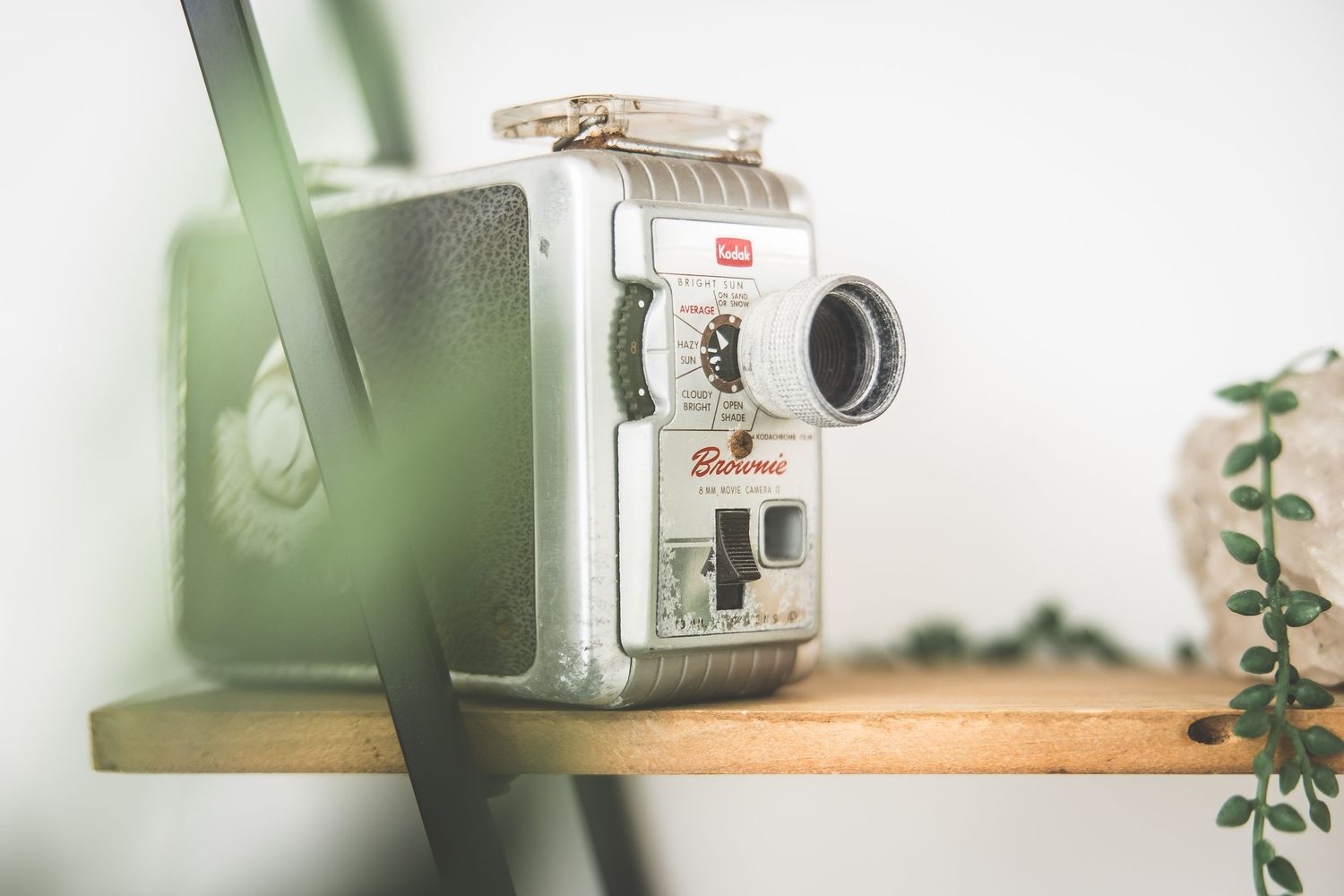 Vintage Kodak camera arranged on white shelf with green plant accents.