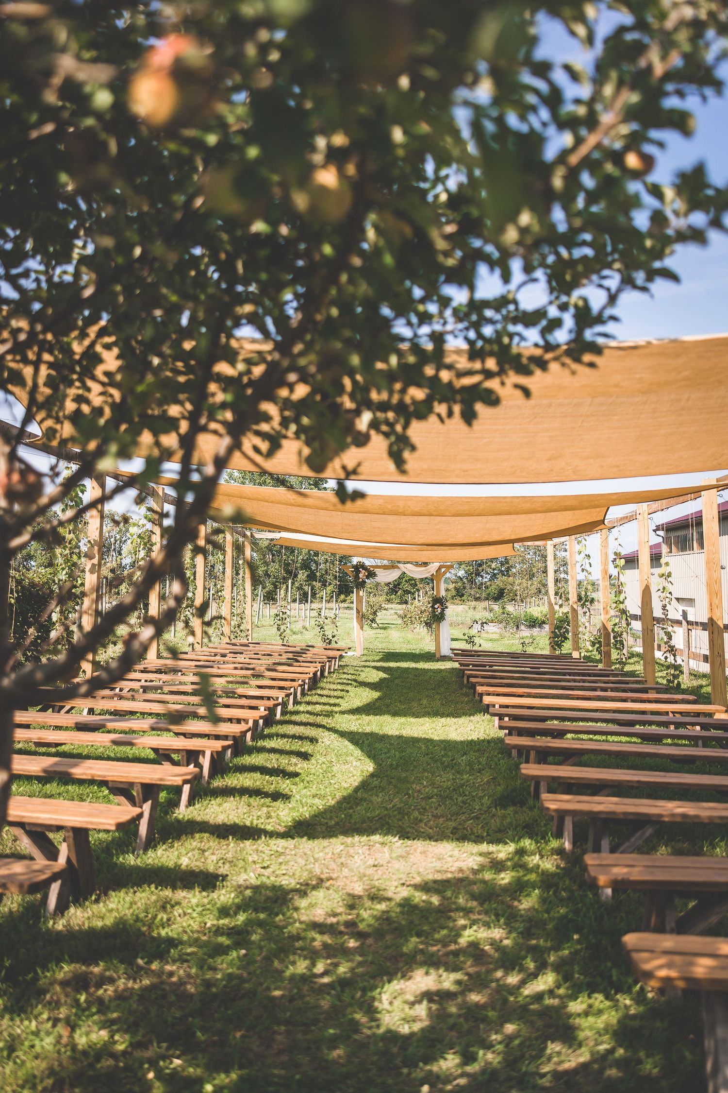 Outdoor wedding ceremony setup with wooden benches under a fabric canopy and natural greenery.