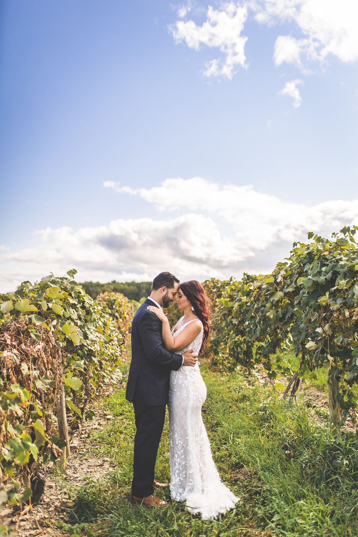 Elegant wedding portrait session in a vineyard with soft natural lighting and blue skies.