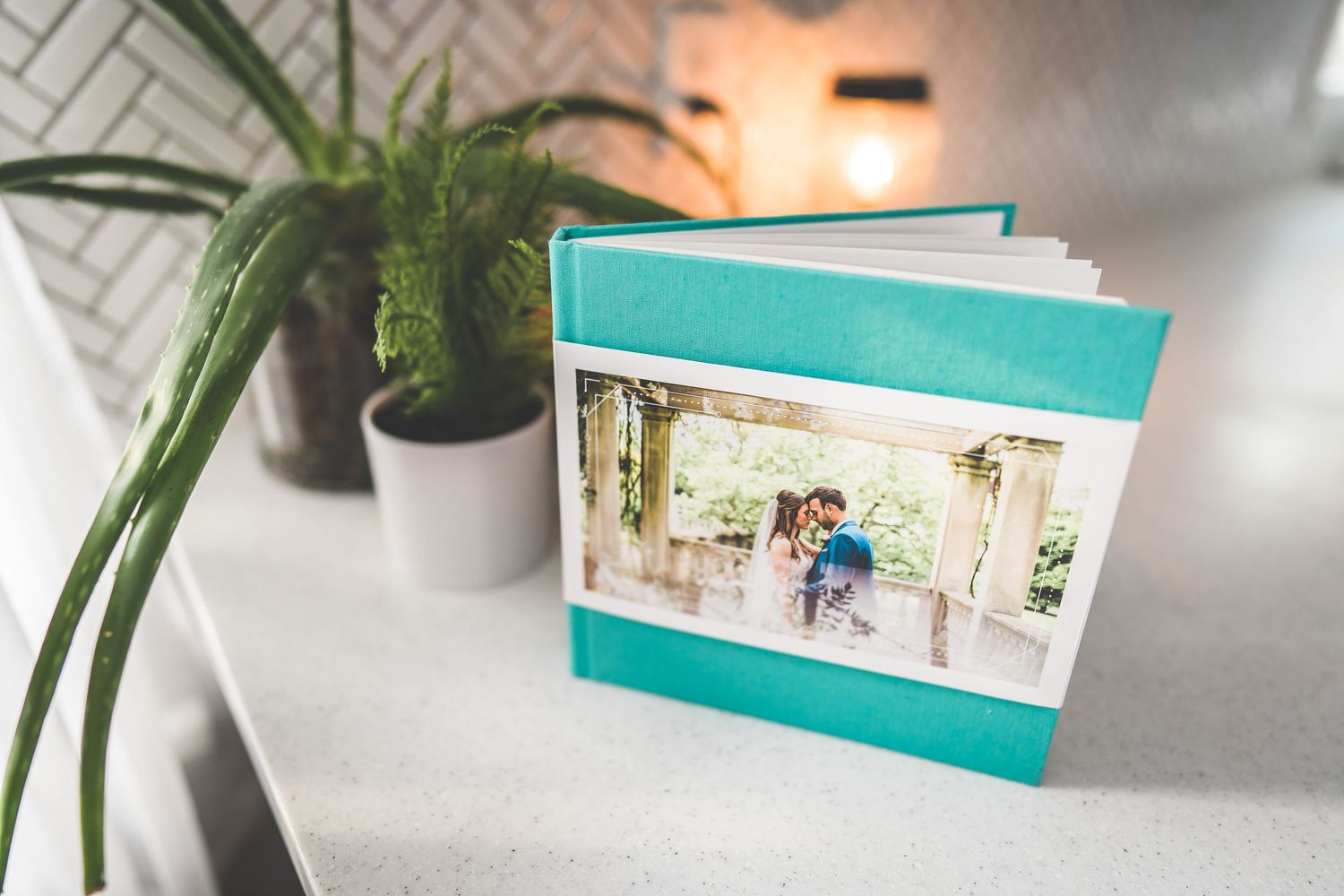 Teal wedding album book displayed with potted plants on white surface.