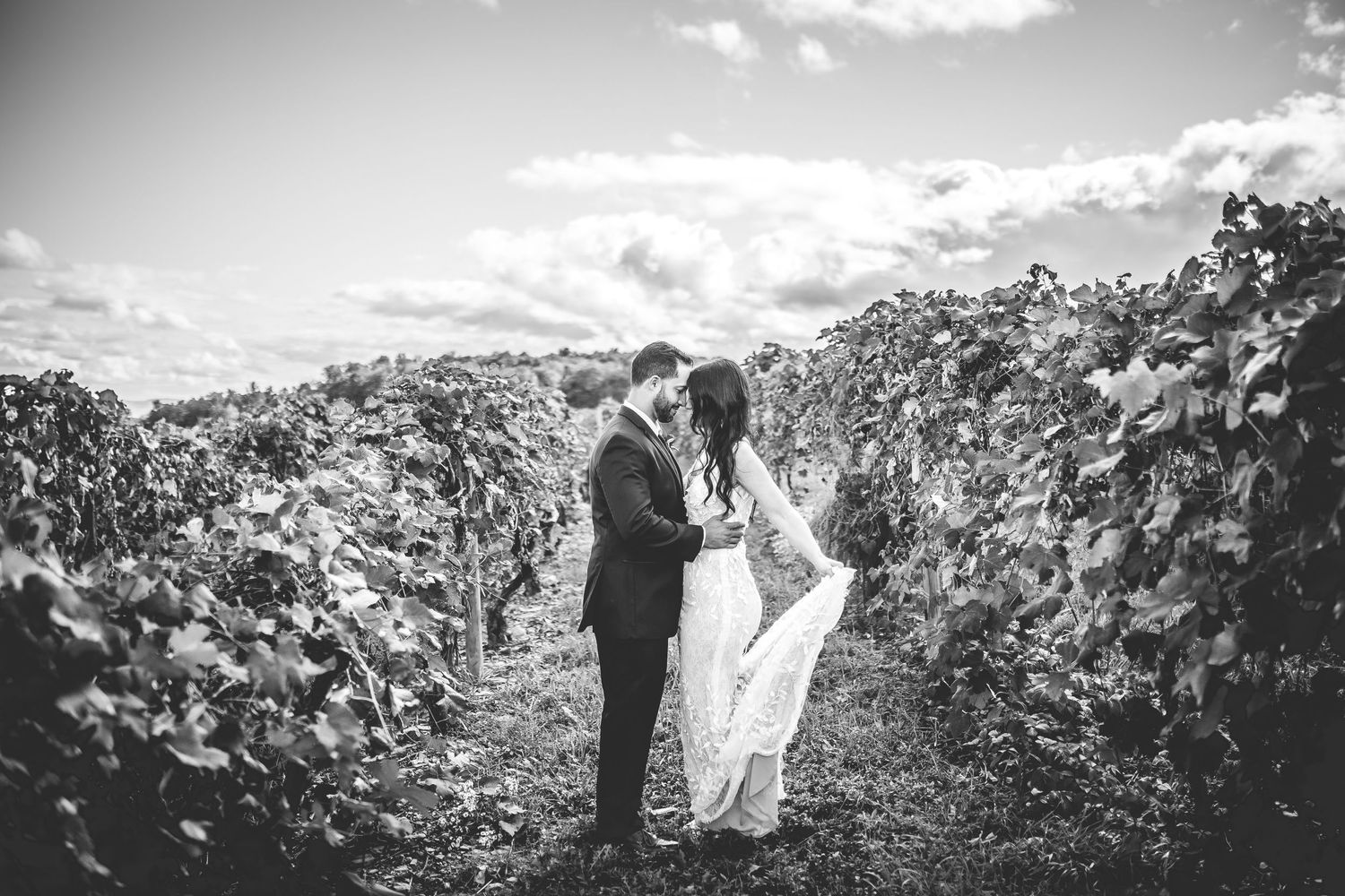 Black and white wedding photography in a vineyard showing romantic moments between newlyweds.