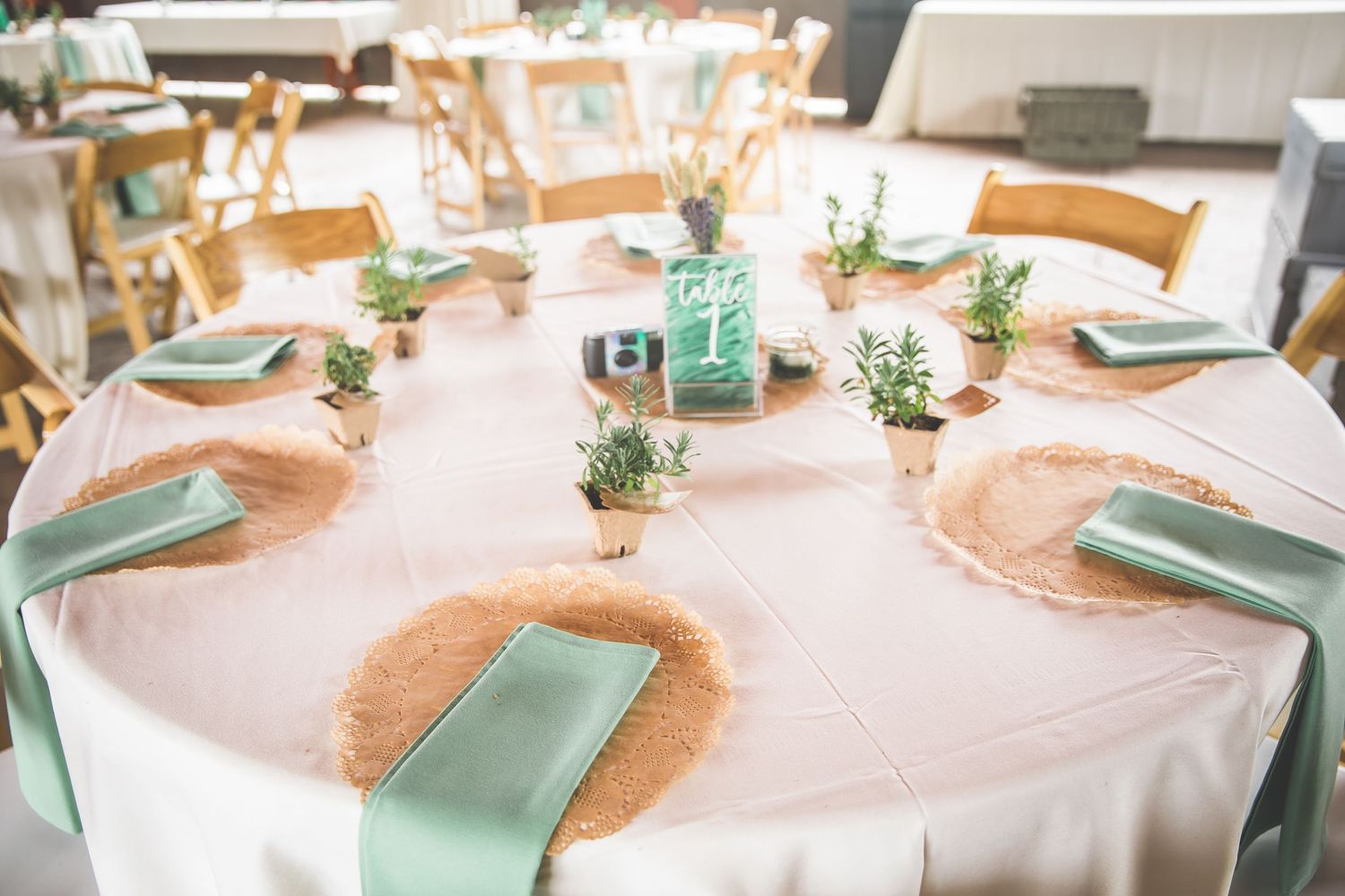 Wedding reception tables decorated with sage green napkins and natural centerpieces.