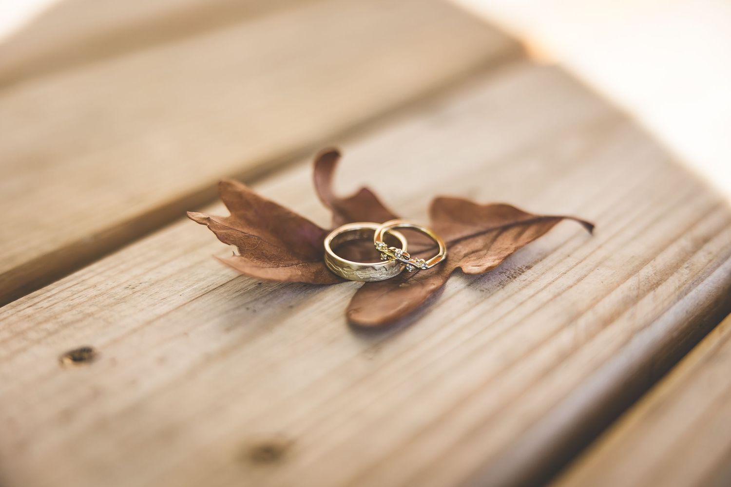 Wedding rings placed artistically on a dried autumn leaf on wooden surface.