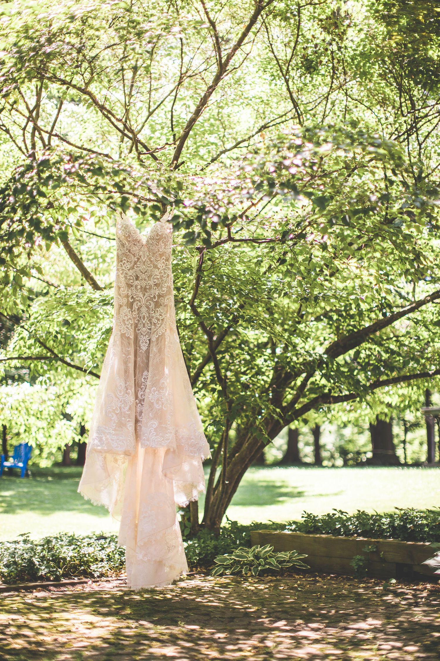A lace wedding dress hangs ethereally from a tree branch in dappled sunlight.