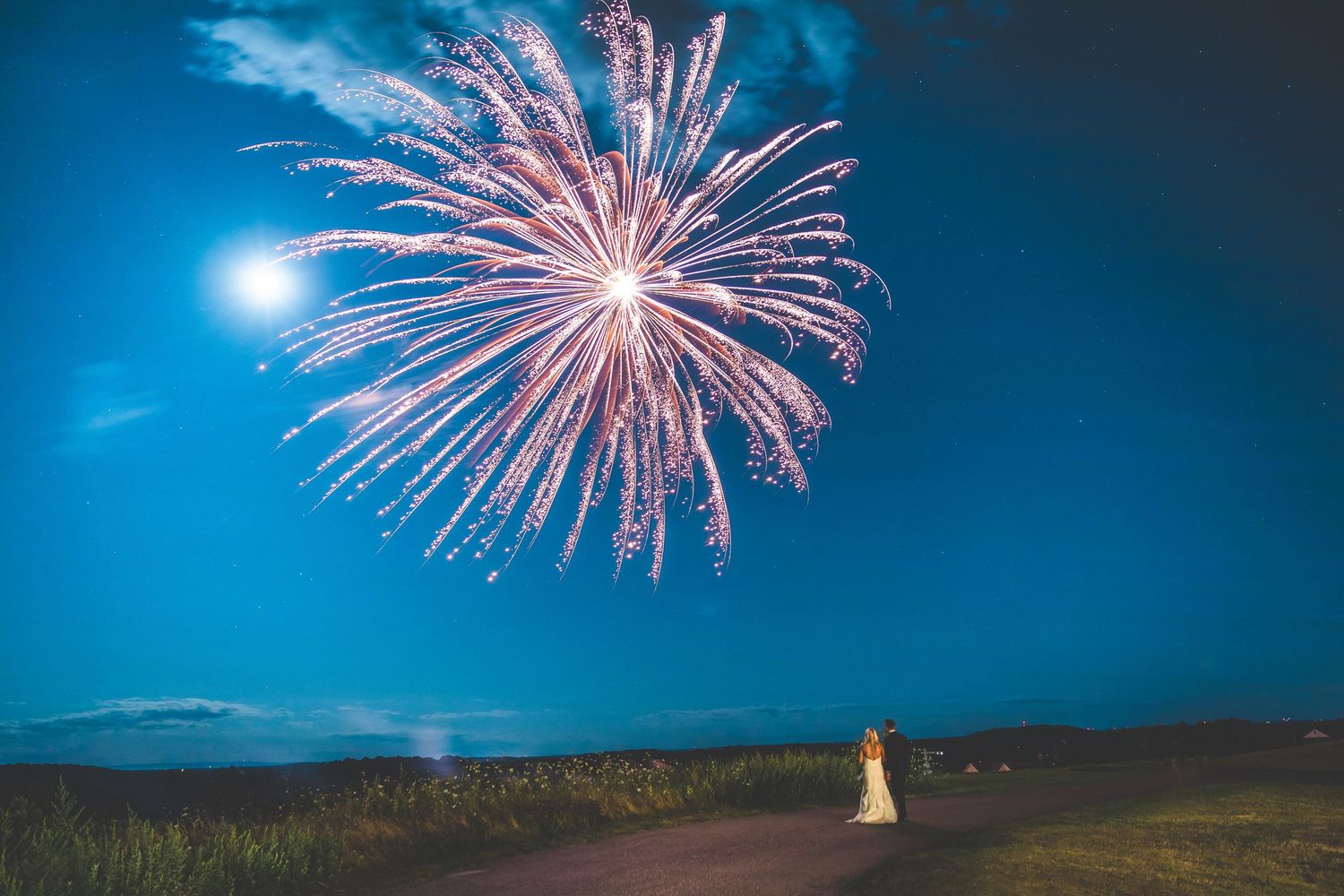 Pink fireworks burst in a dark blue sky over a distant wedding couple silhouette.