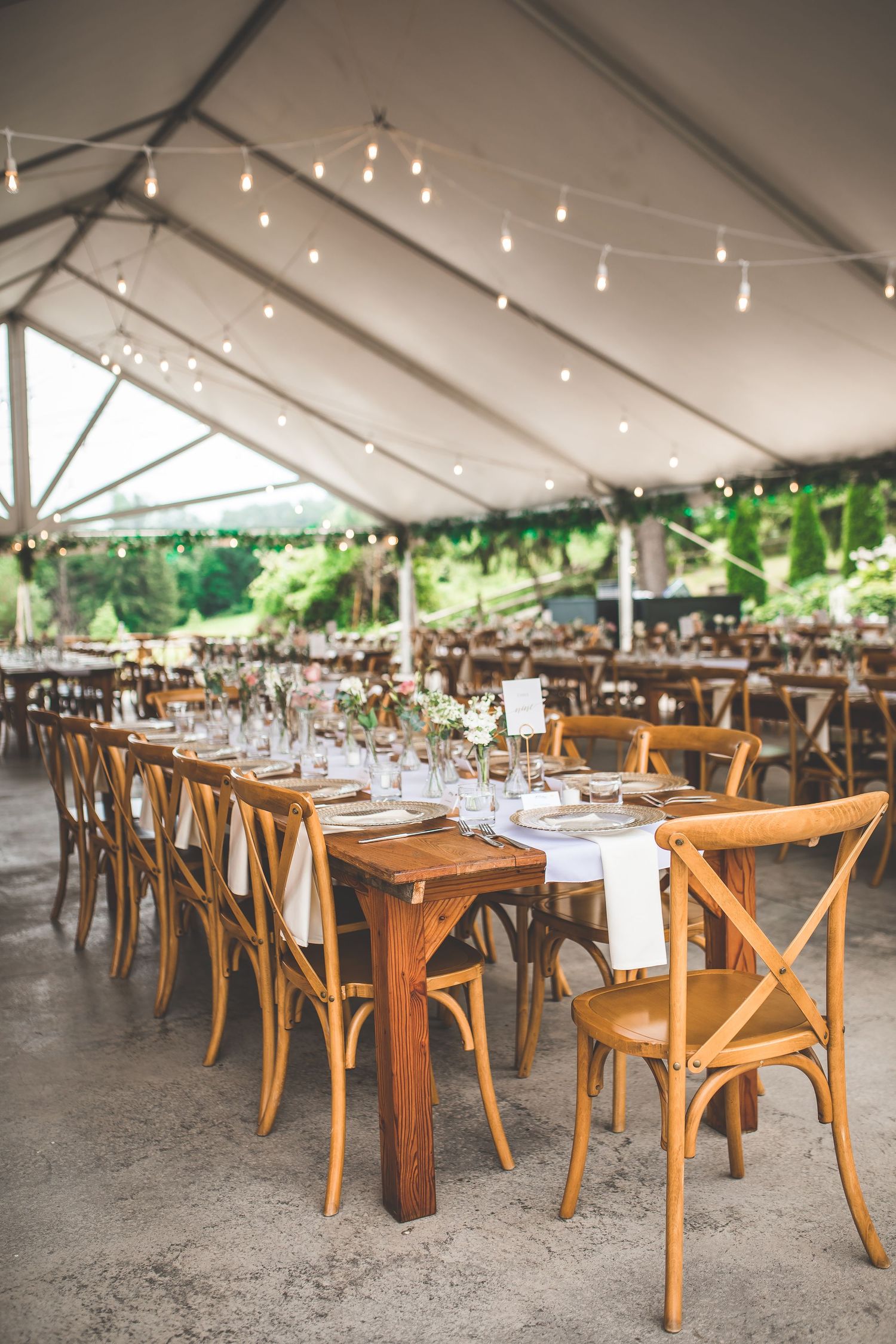 Reception tent setup with wooden cross-back chairs and farm tables under string lights.