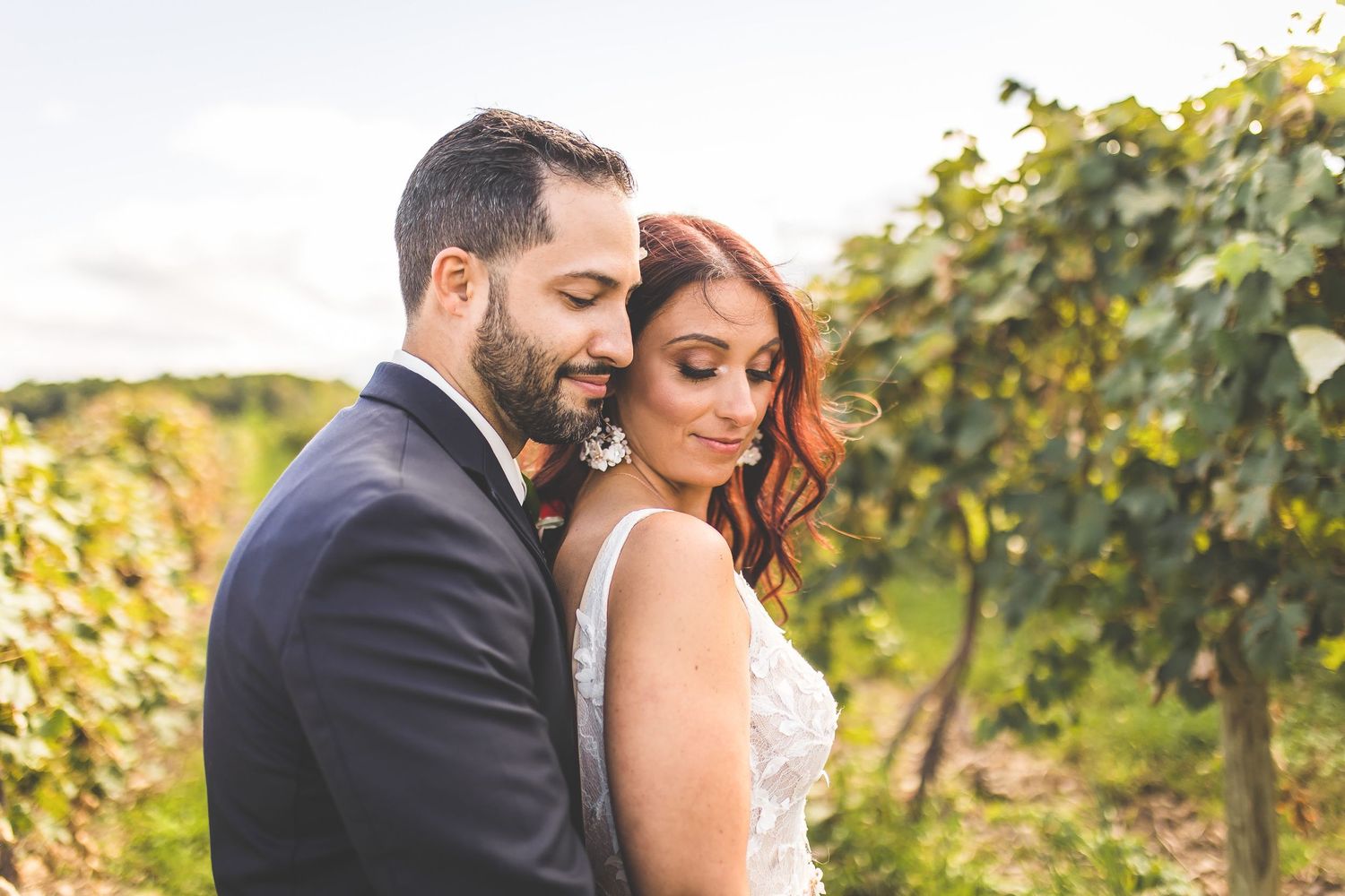 Intimate wedding portraits captured among vineyard rows during golden hour.