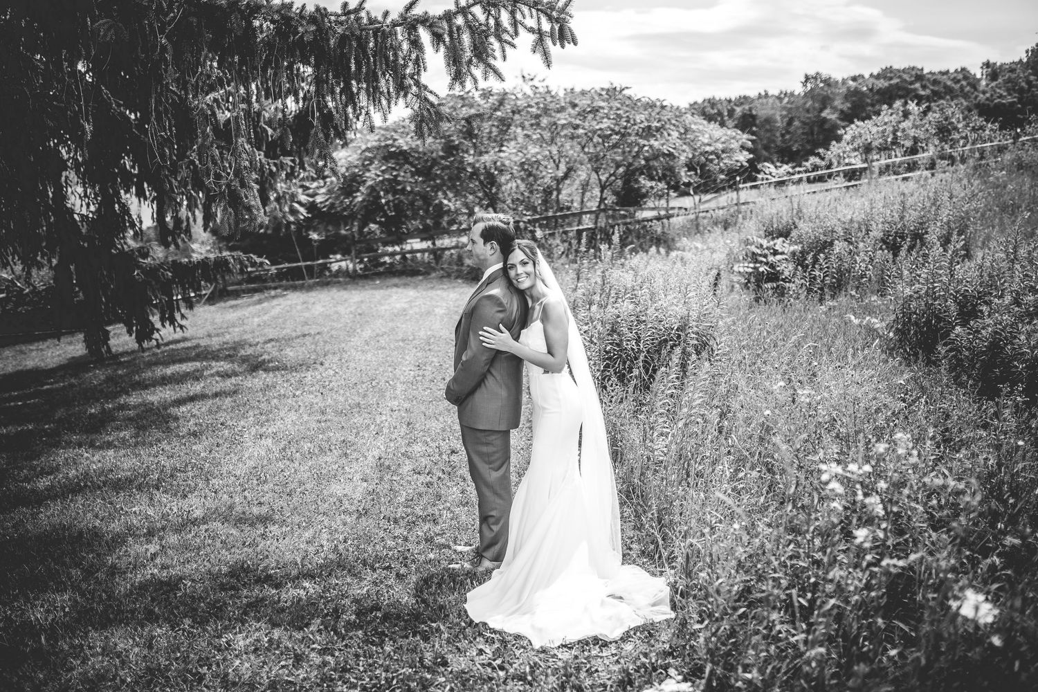 Wedding couple poses in a scenic field with evergreen trees in the background.