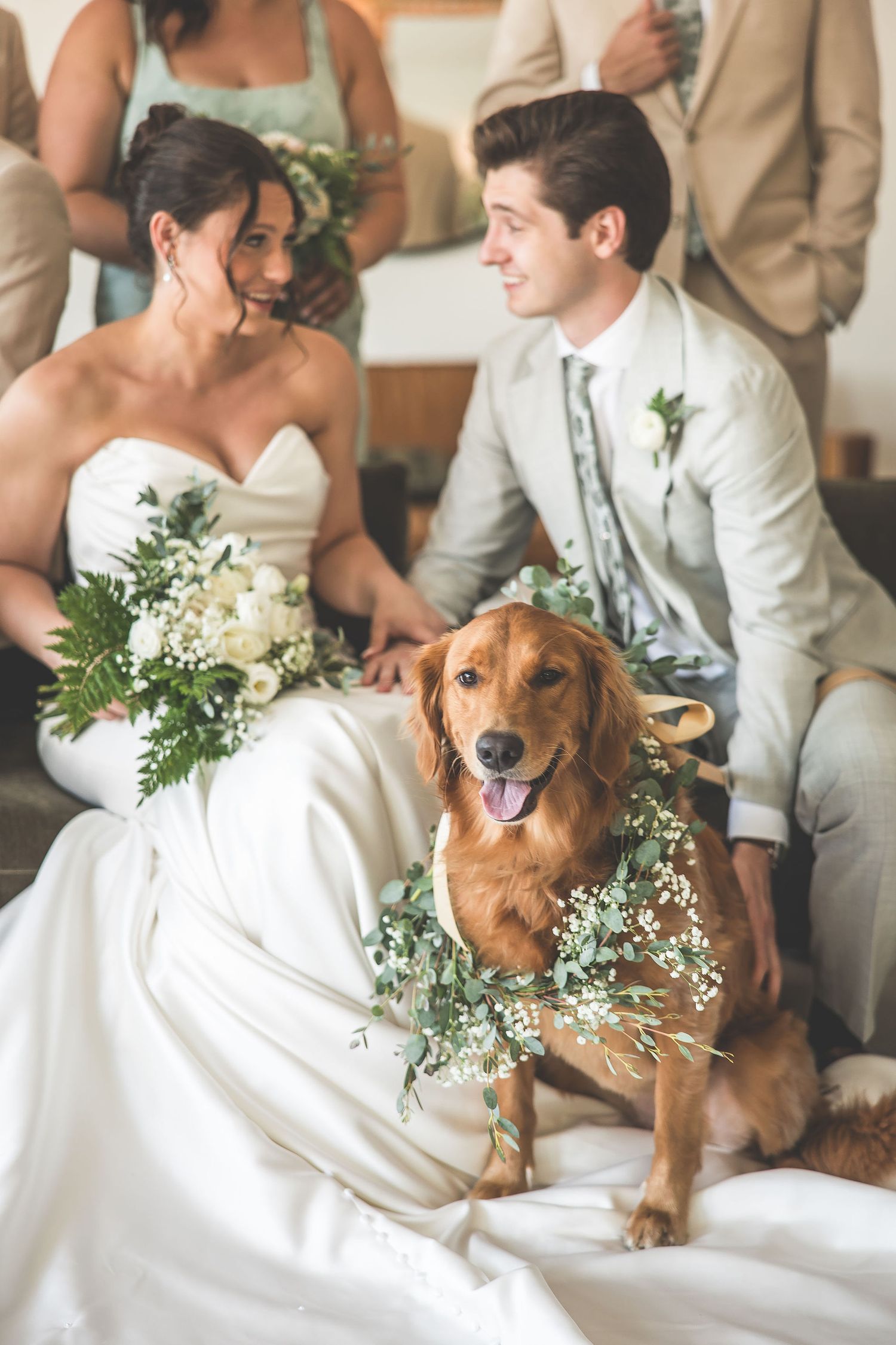 Golden retriever wearing floral collar poses with couple during indoor wedding photos.