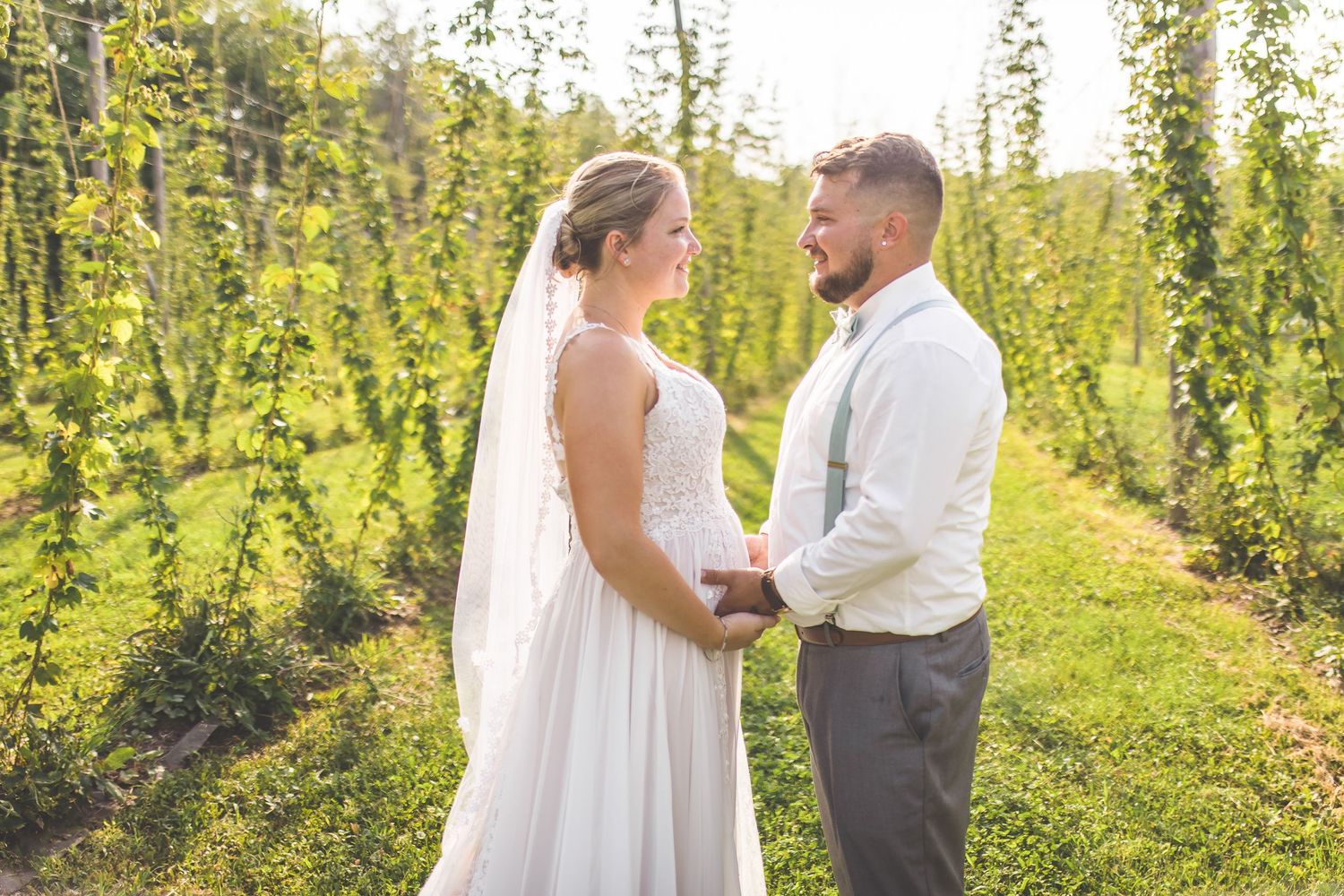 Wedding couple shares intimate moments between rows of climbing hops during sunset.