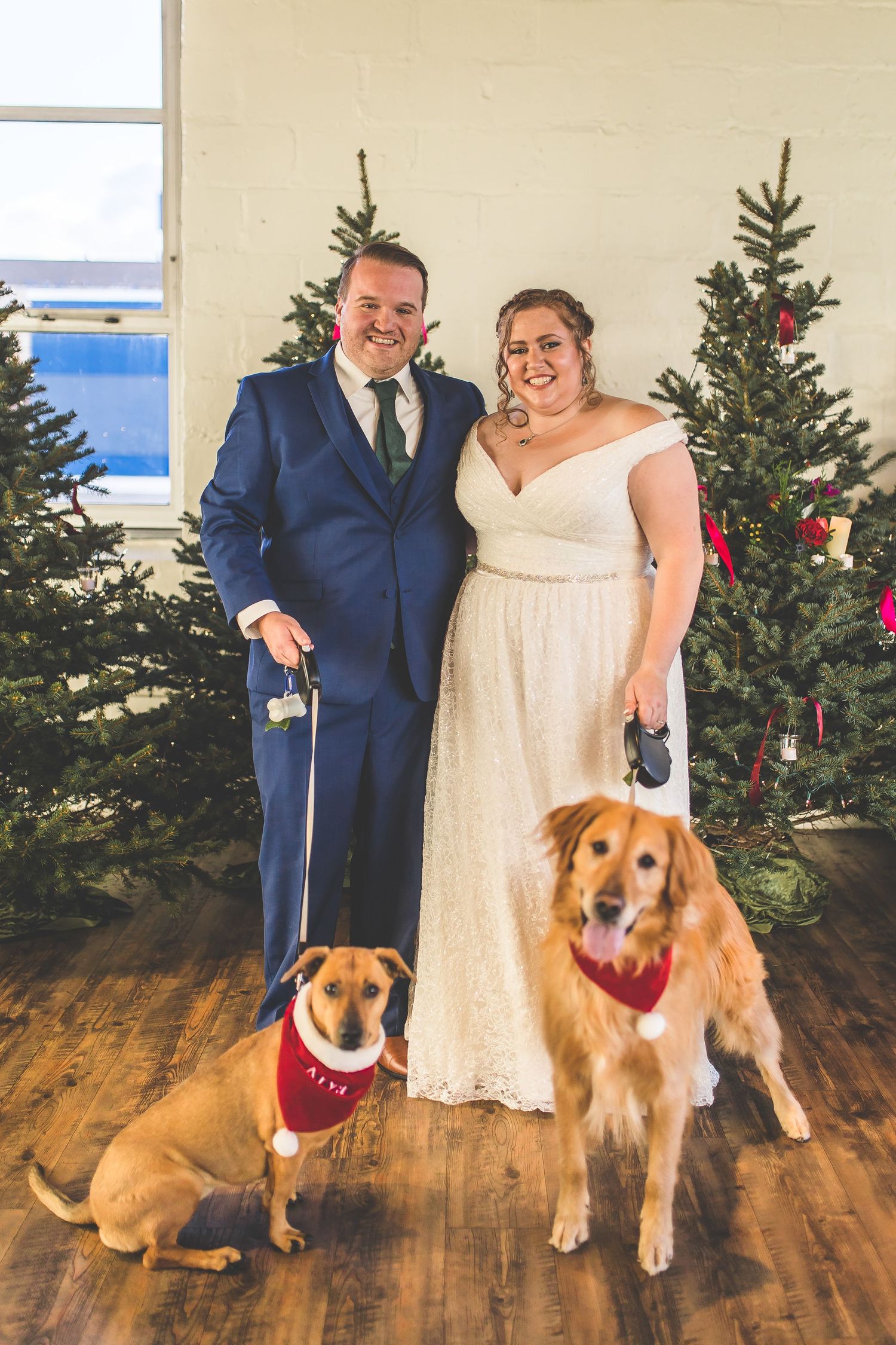Wedding couple in formal attire posing with two dogs in front of decorated Christmas trees.
