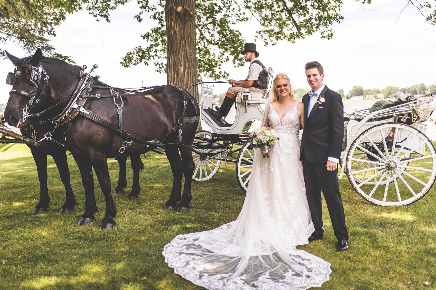Elegant white carriage with two black horses parked under large tree for wedding photos.