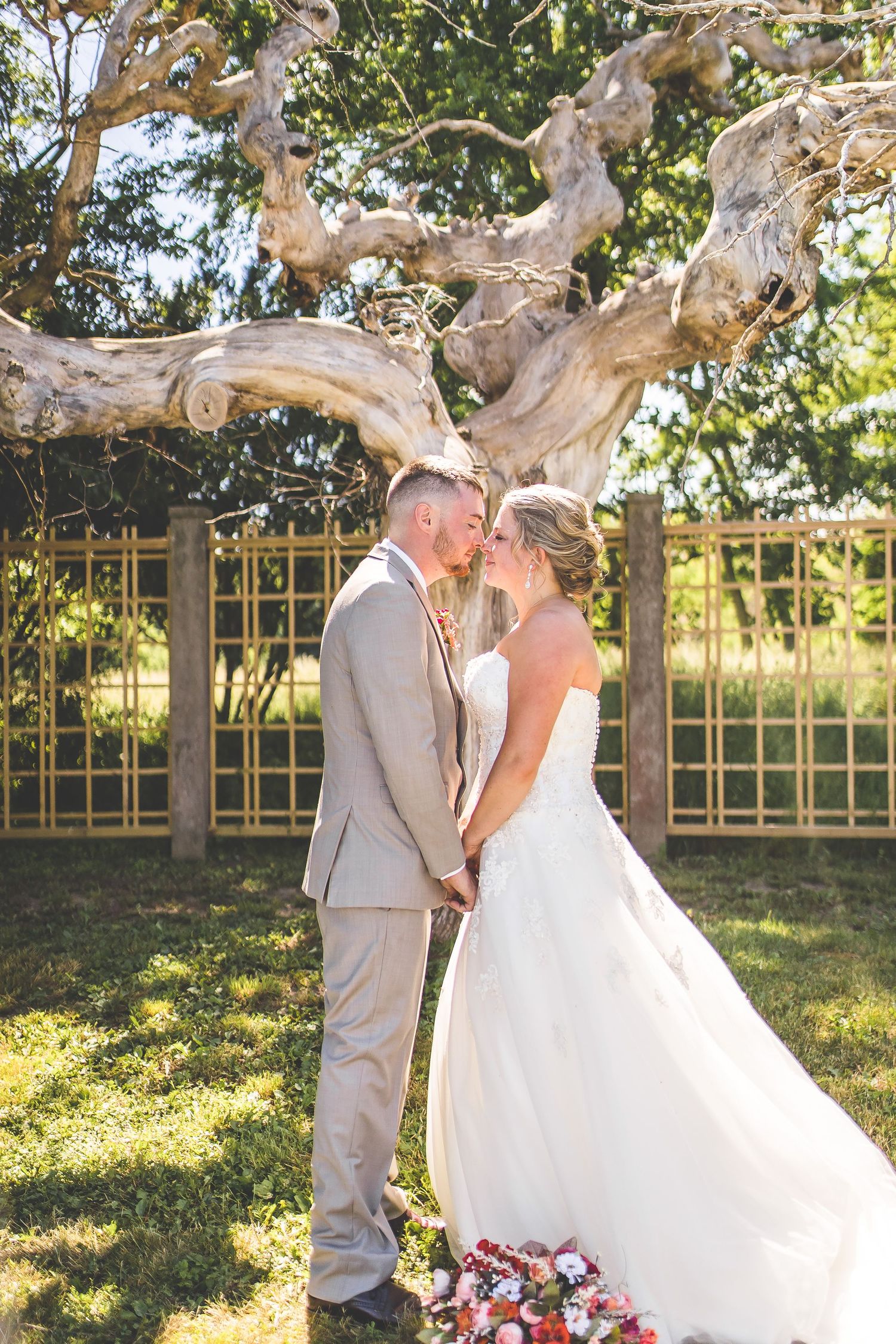 Wedding portraits captured under a twisted tree branch with golden sunlight filtering through.