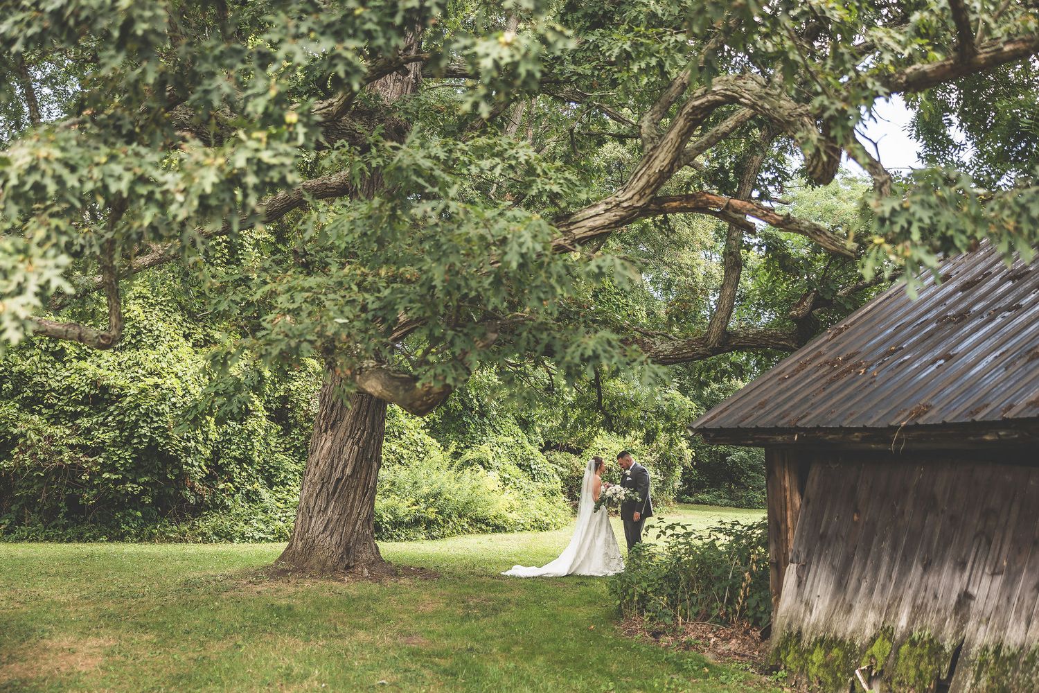 Wide panoramic view of a wedding ceremony location with rustic barn and trees in the background.