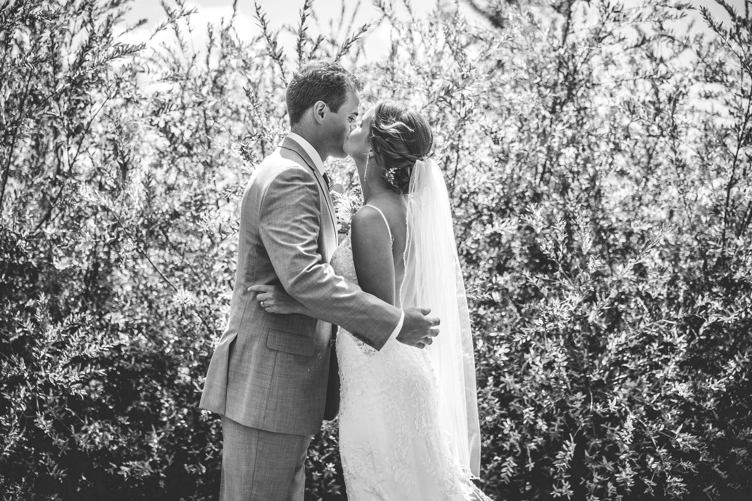 Black and white photo of couple sharing romantic moment in garden setting.