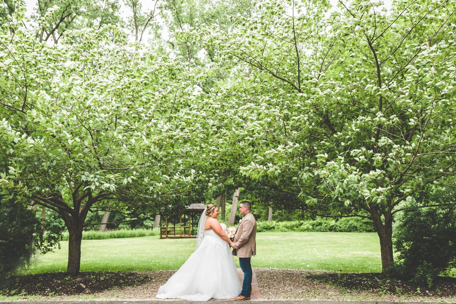 Spring wedding photos taken under blooming white cherry blossom trees.