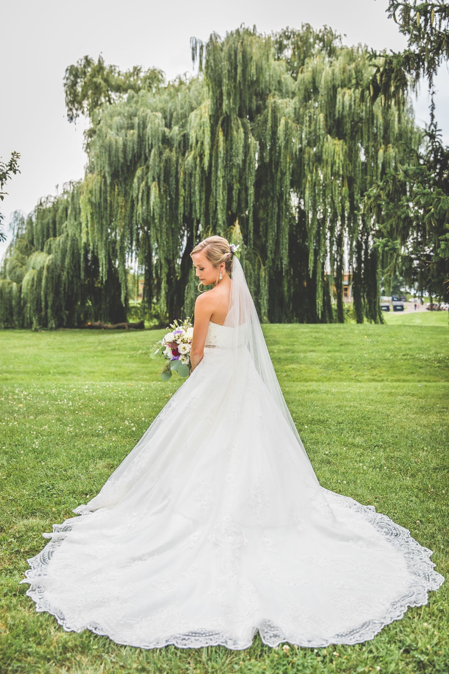 Stunning lace wedding dress with cathedral train spread out on green grass under weeping willow trees.