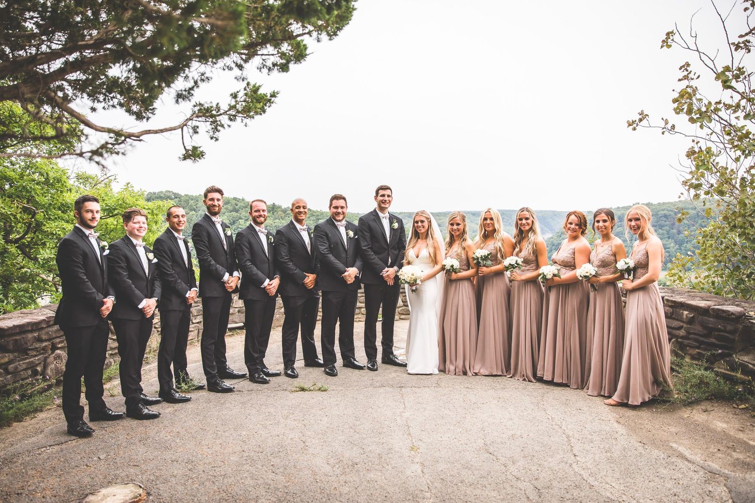 Large wedding party lined up on stone overlook with groomsmen in black and bridesmaids in mauve dresses.
