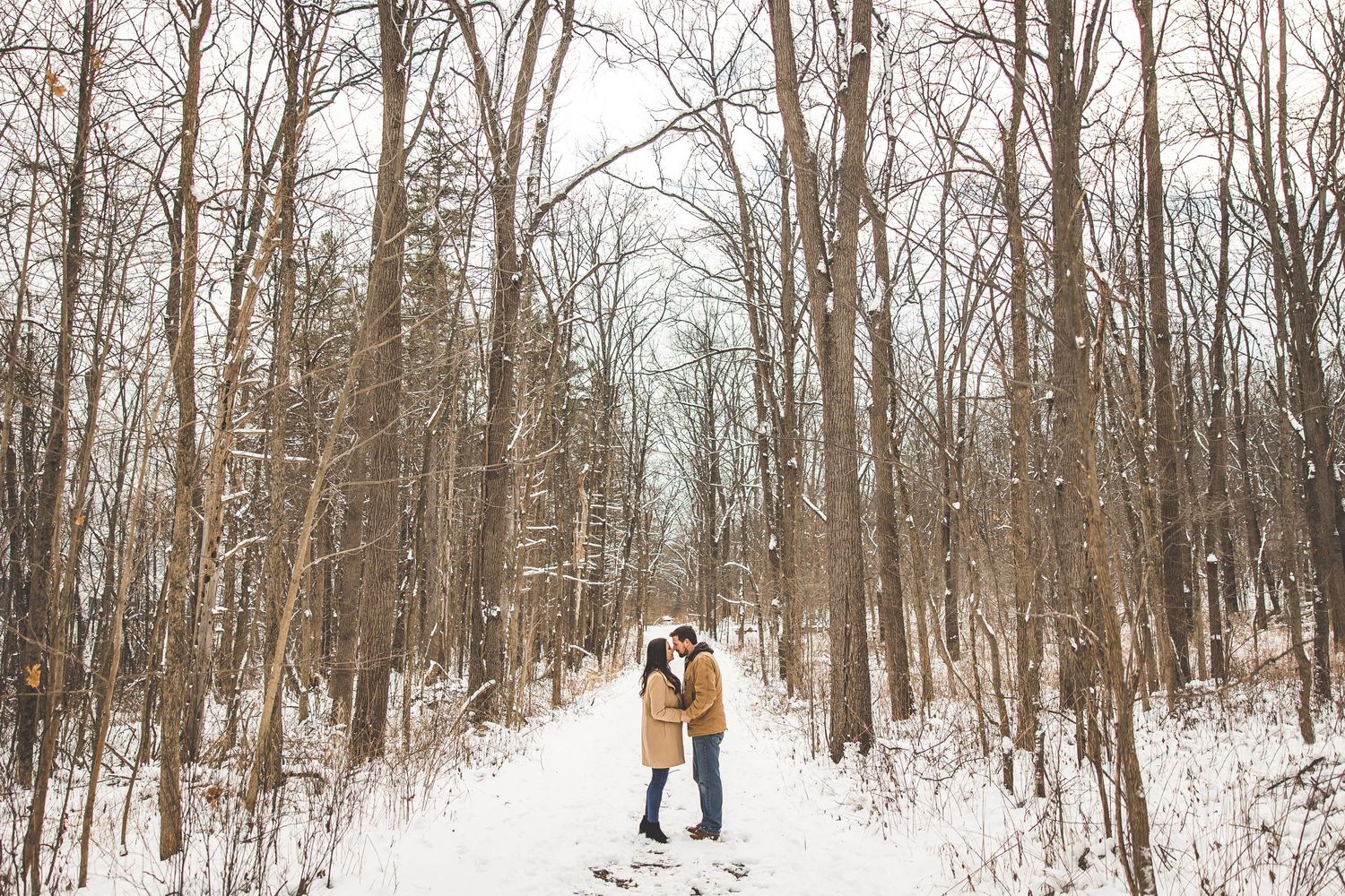 A romantic winter engagement photoshoot in a snowy forest with bare trees creating a magical atmosphere.