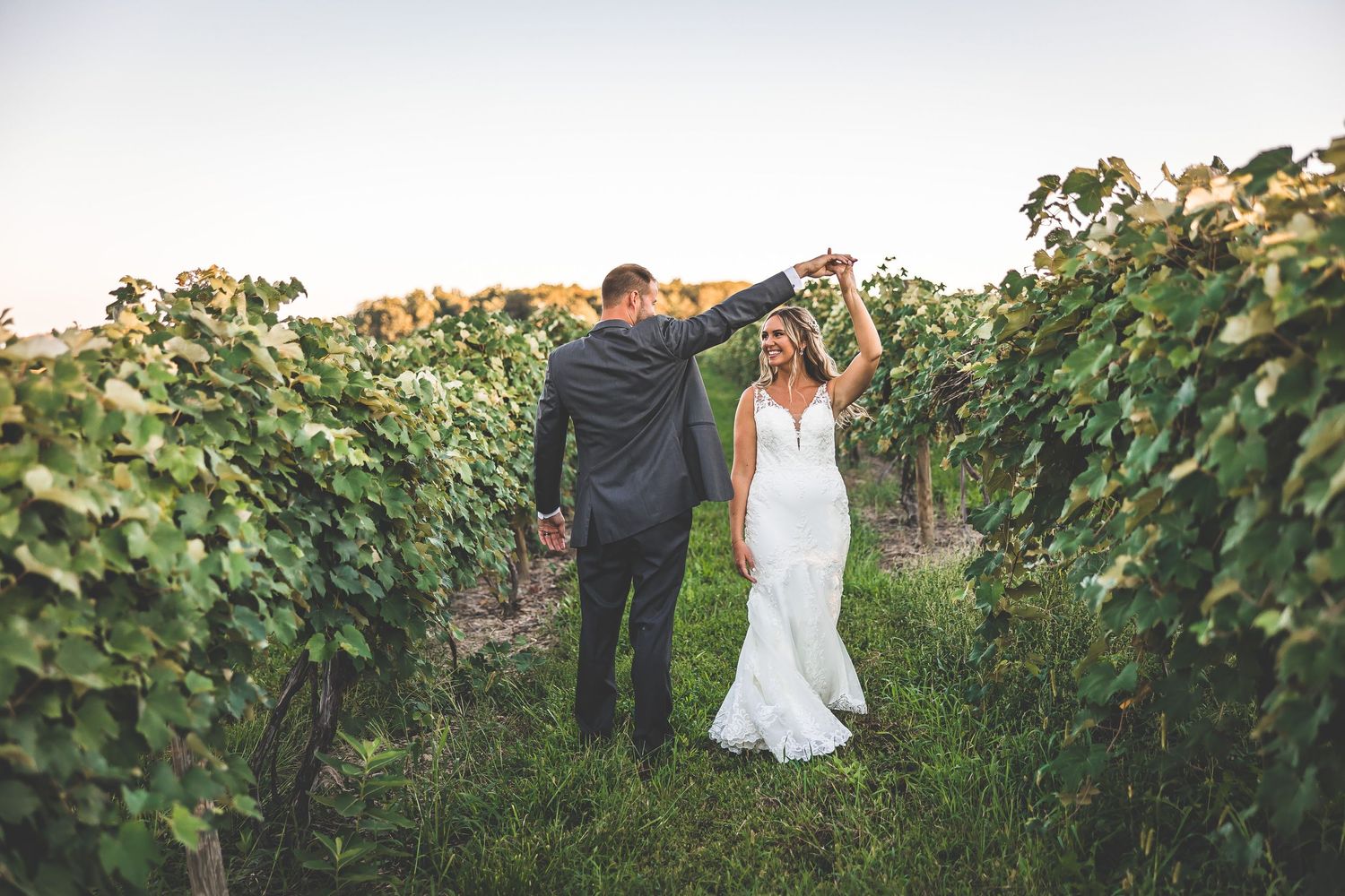 Wedding couple walking hand in hand through lush green vineyard rows at sunset.